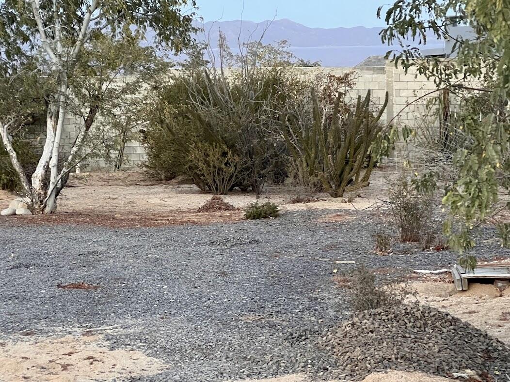 MLS #25-1038 image #9