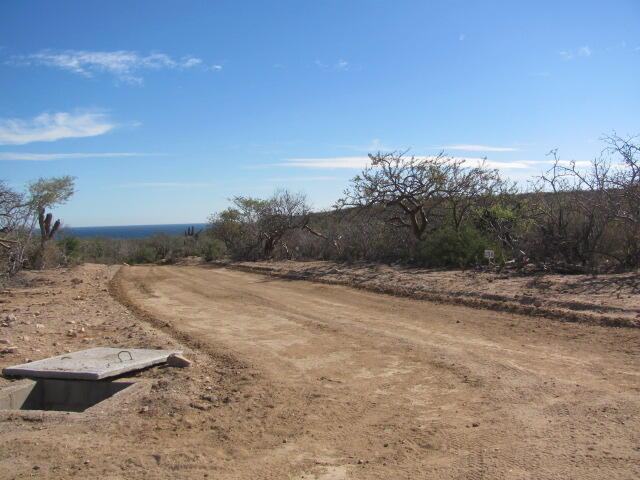 MLS #25-1159 img 3
