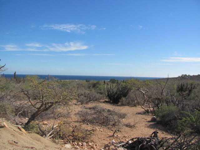 MLS #25-1159 img 4
