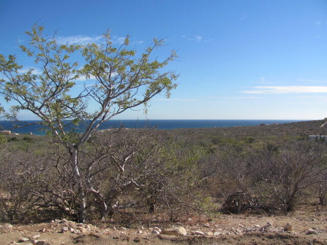 MLS #25-1159 img 5