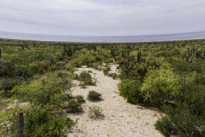 MLS #25-1225 image #3