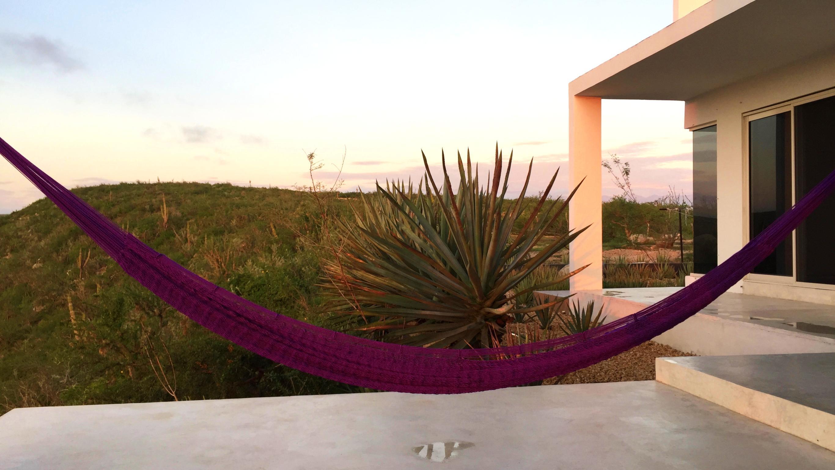 MLS #25-132 image #12