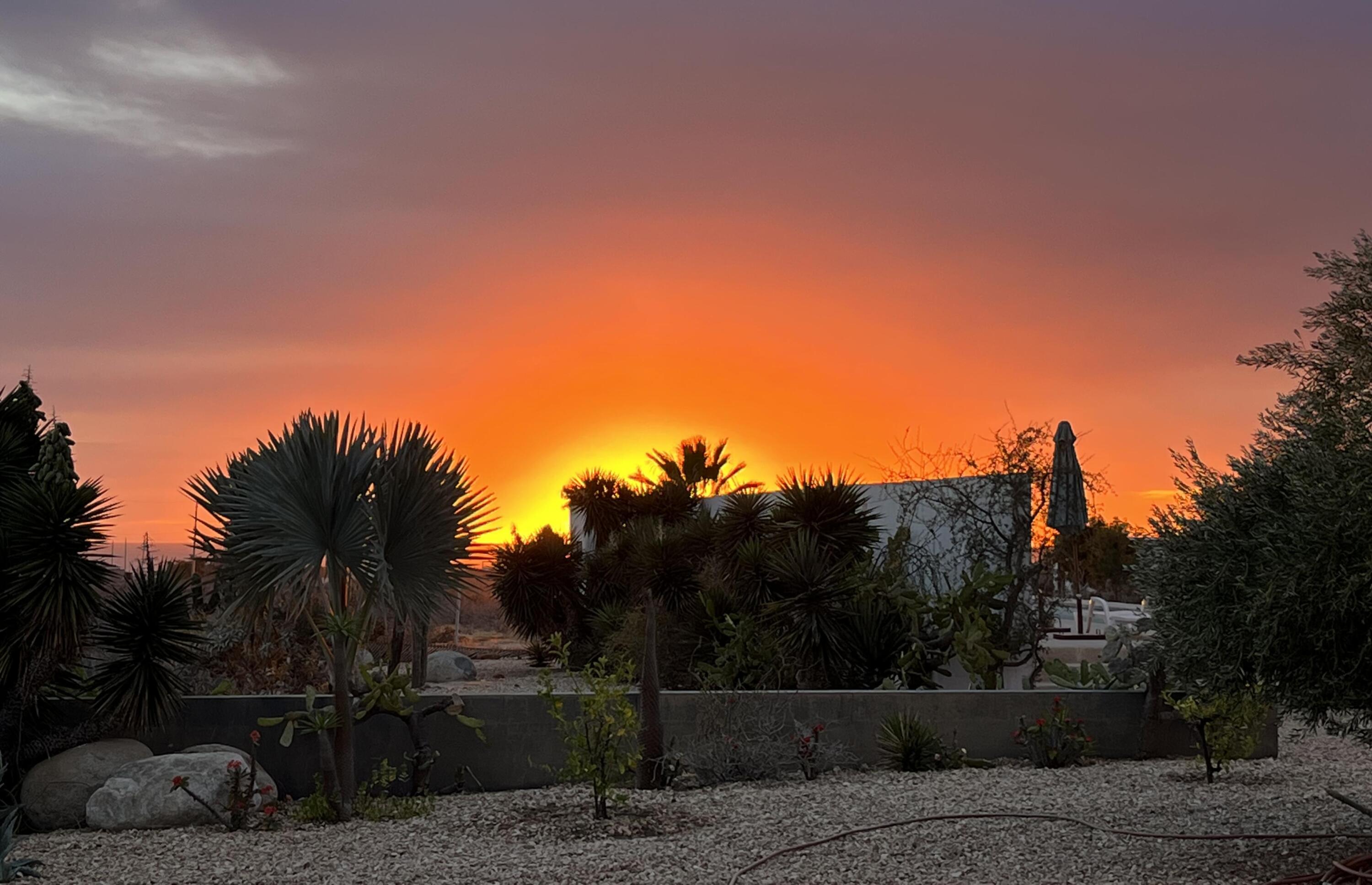 MLS #25-132 image #21