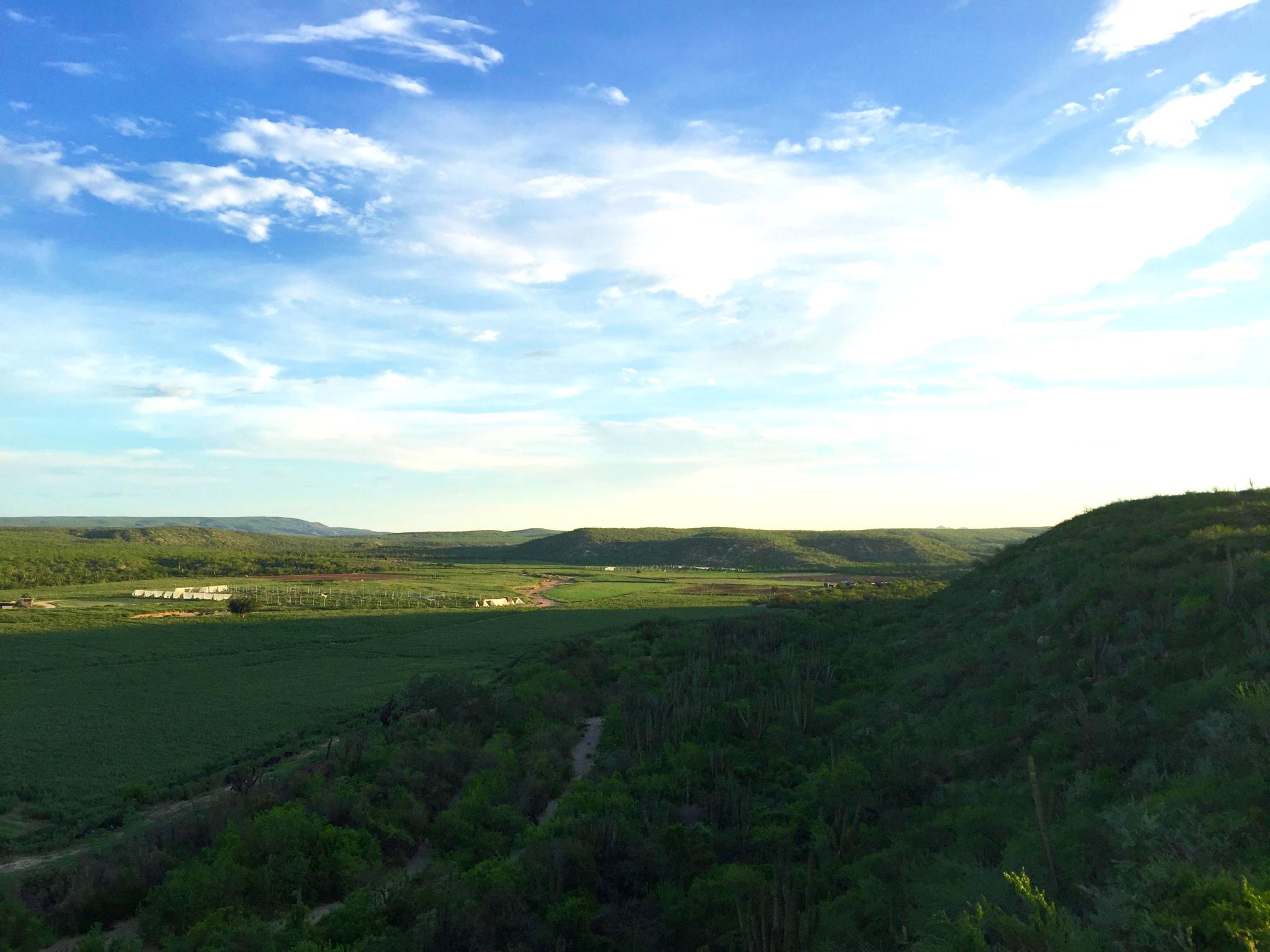 MLS #25-132 image #8