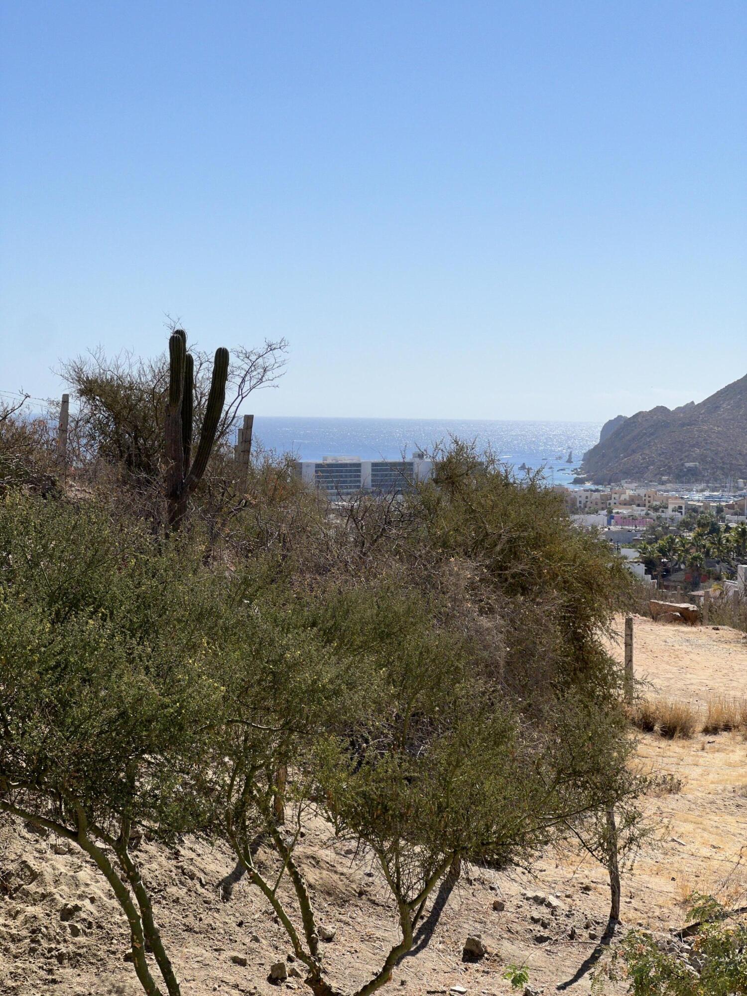 MLS #25-1396 image #28