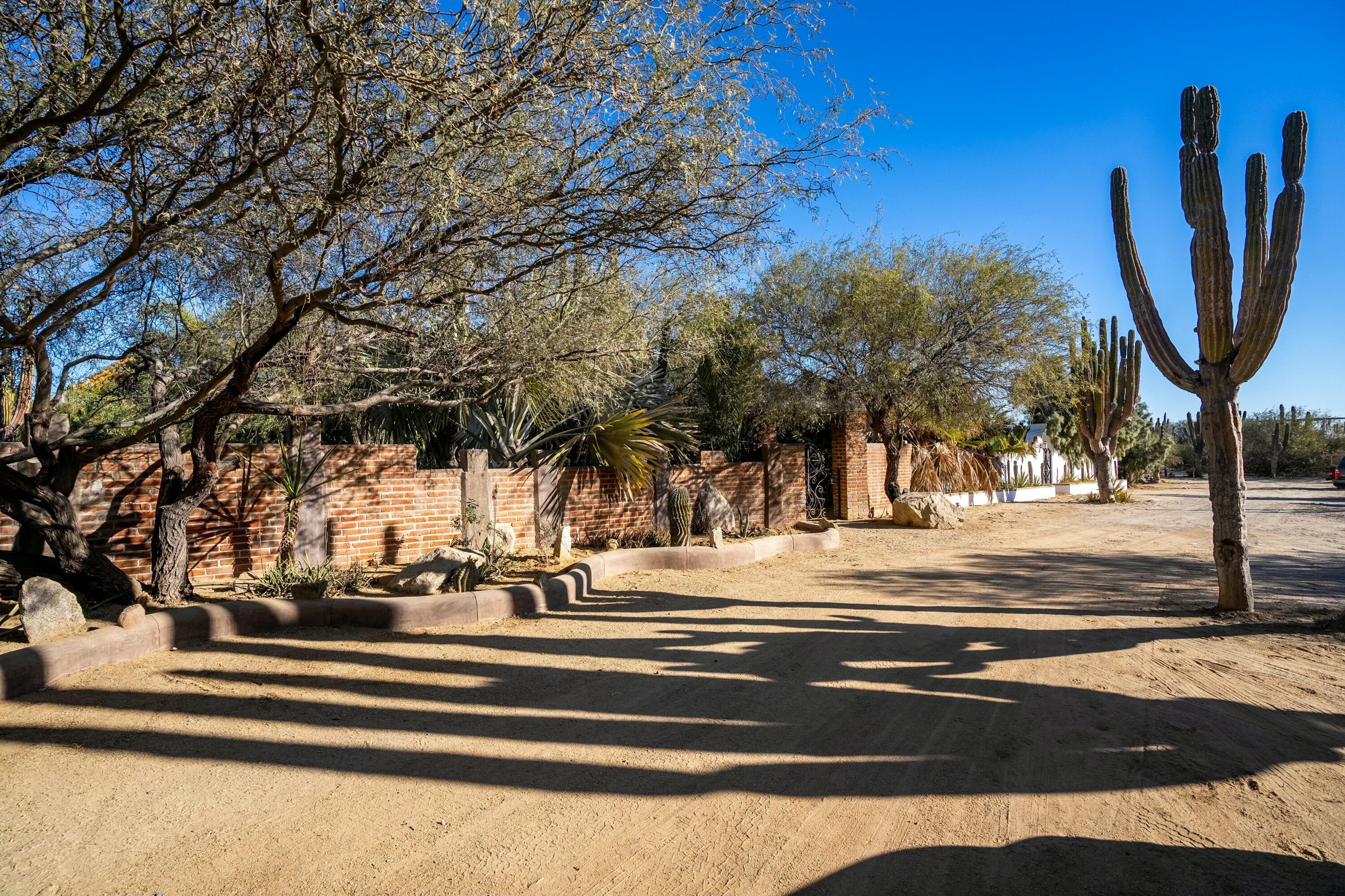 MLS #25-1400 image #13