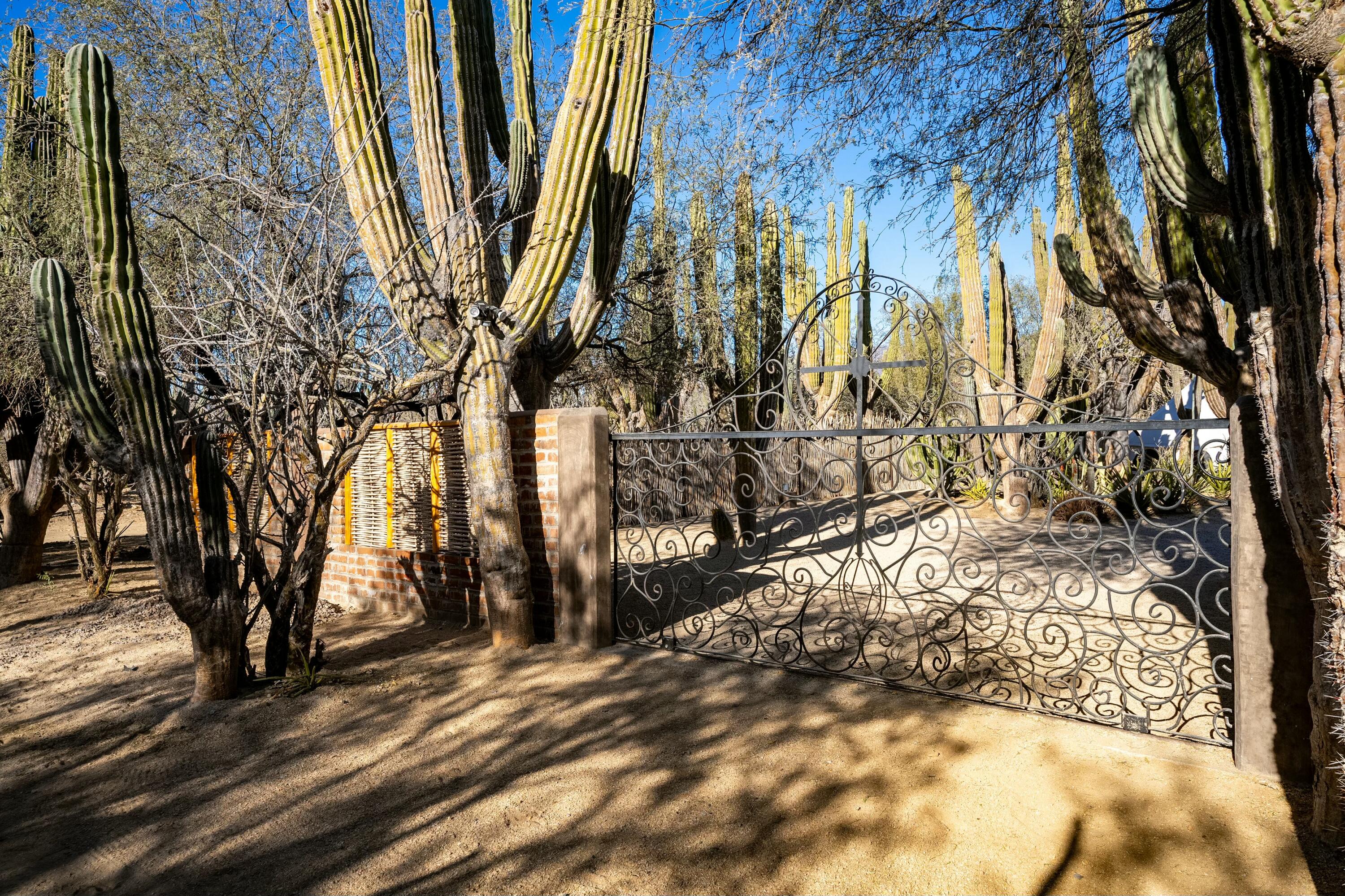 MLS #25-1400 image #15