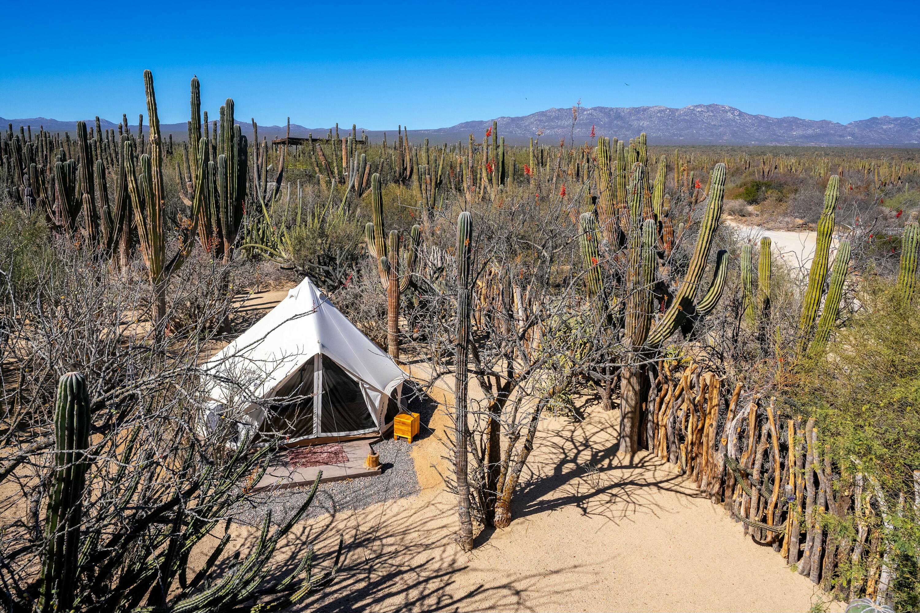 MLS #25-1400 image #34