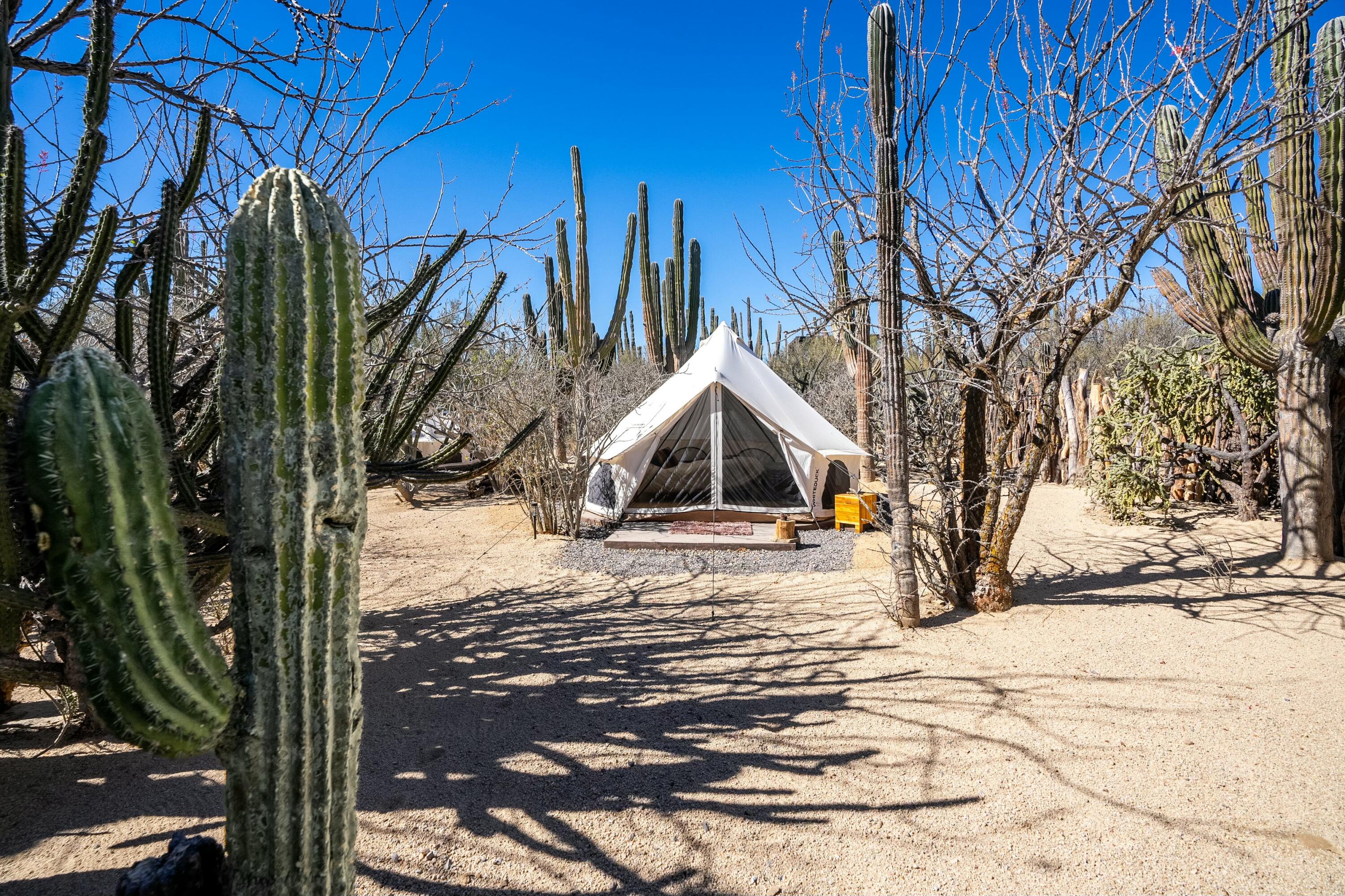 MLS #25-1400 image #37