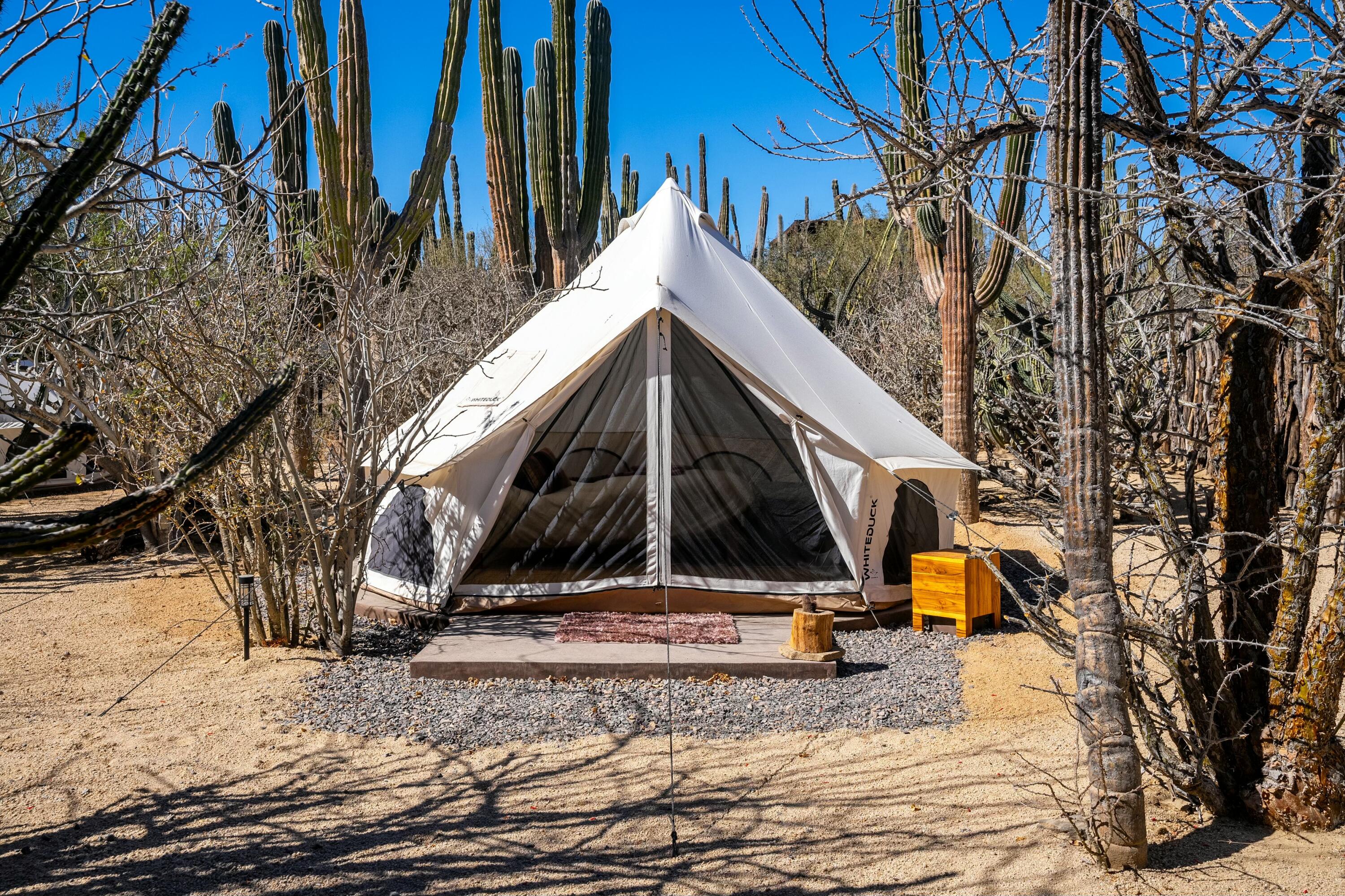 MLS #25-1400 image #38