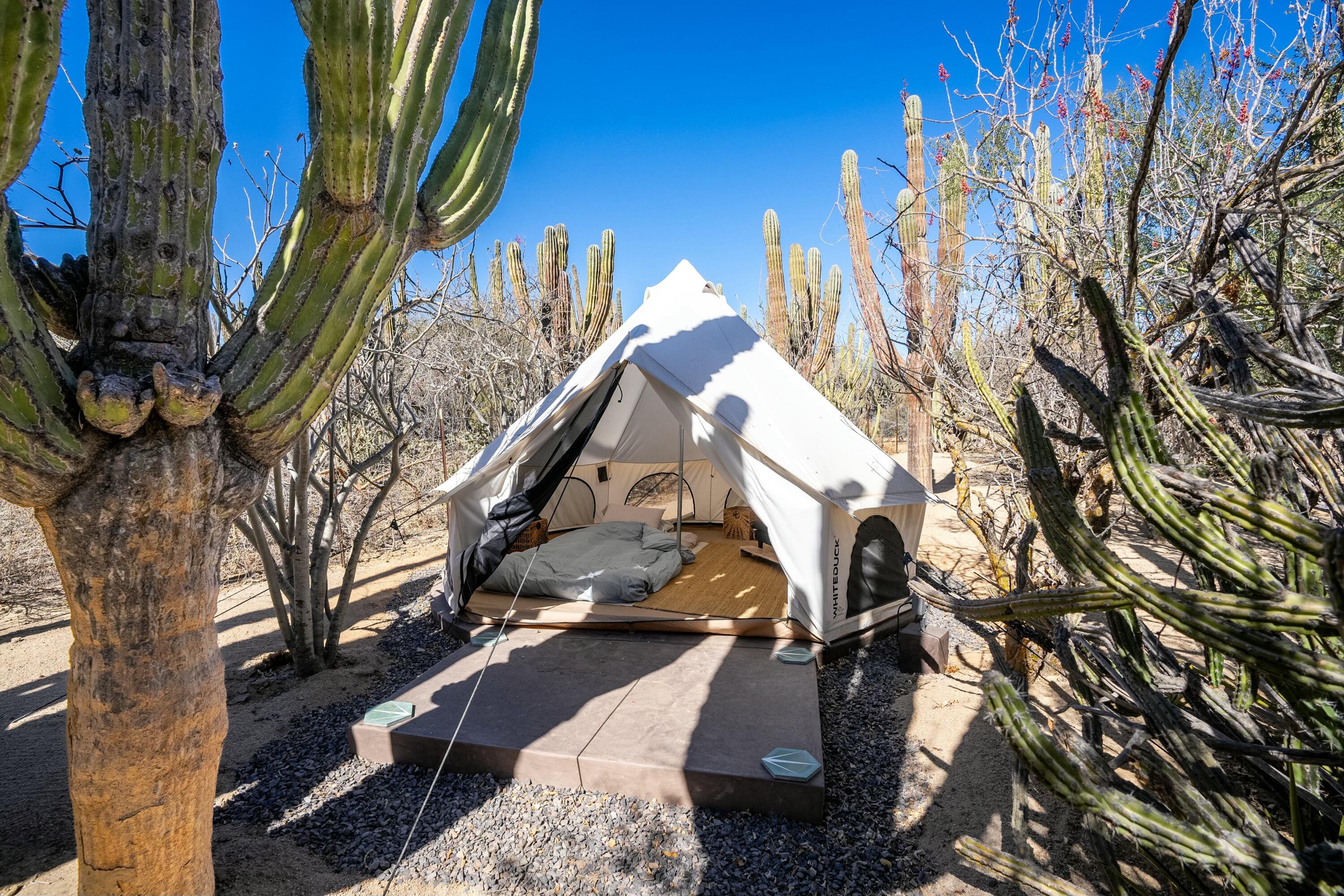 MLS #25-1400 image #41