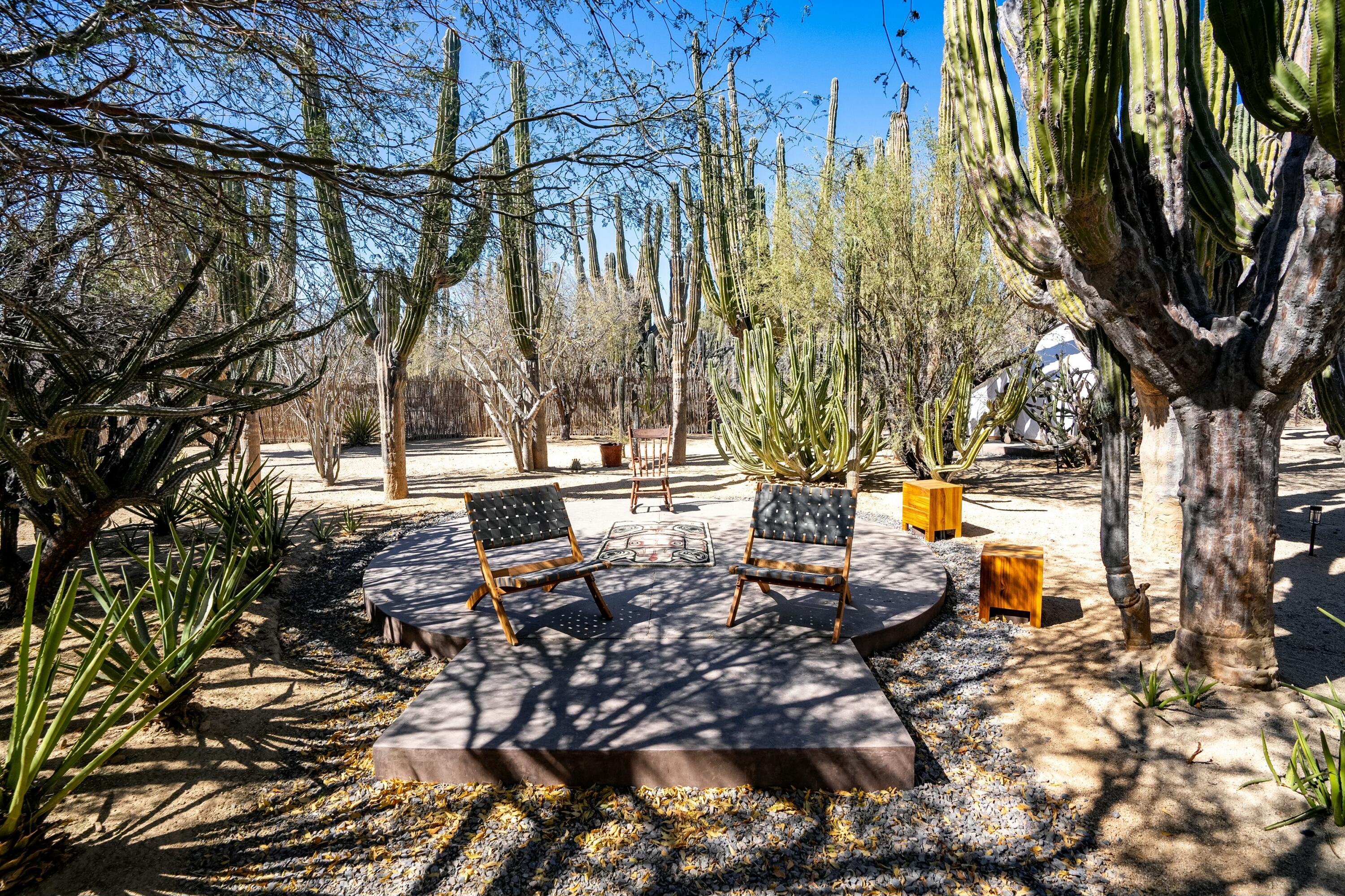 MLS #25-1400 image #42