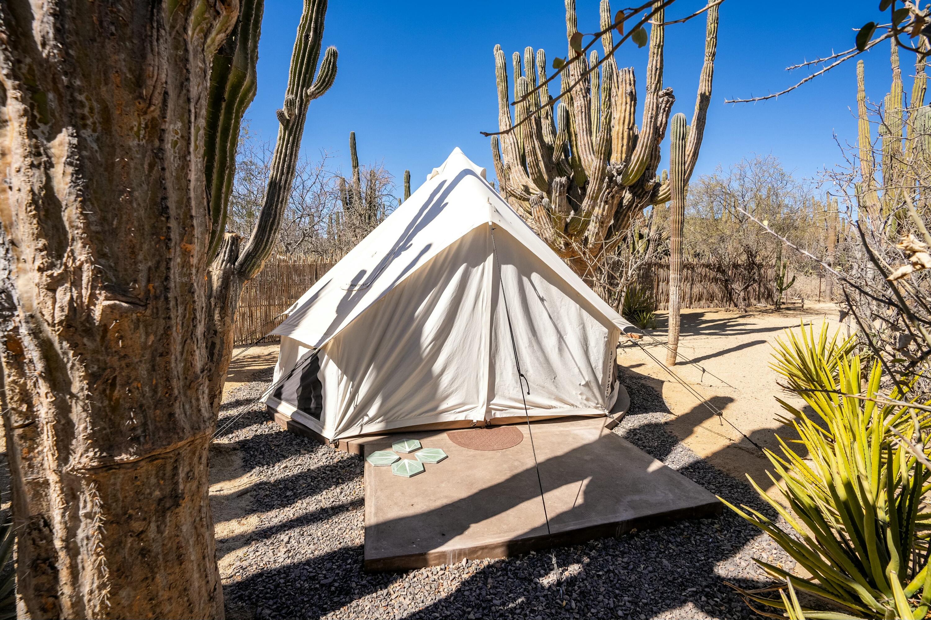 MLS #25-1400 image #43