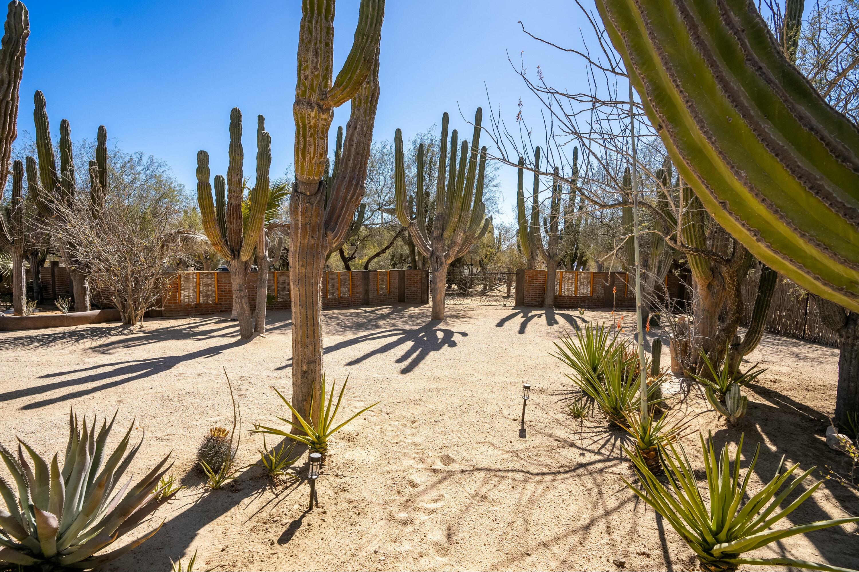 MLS #25-1400 image #44