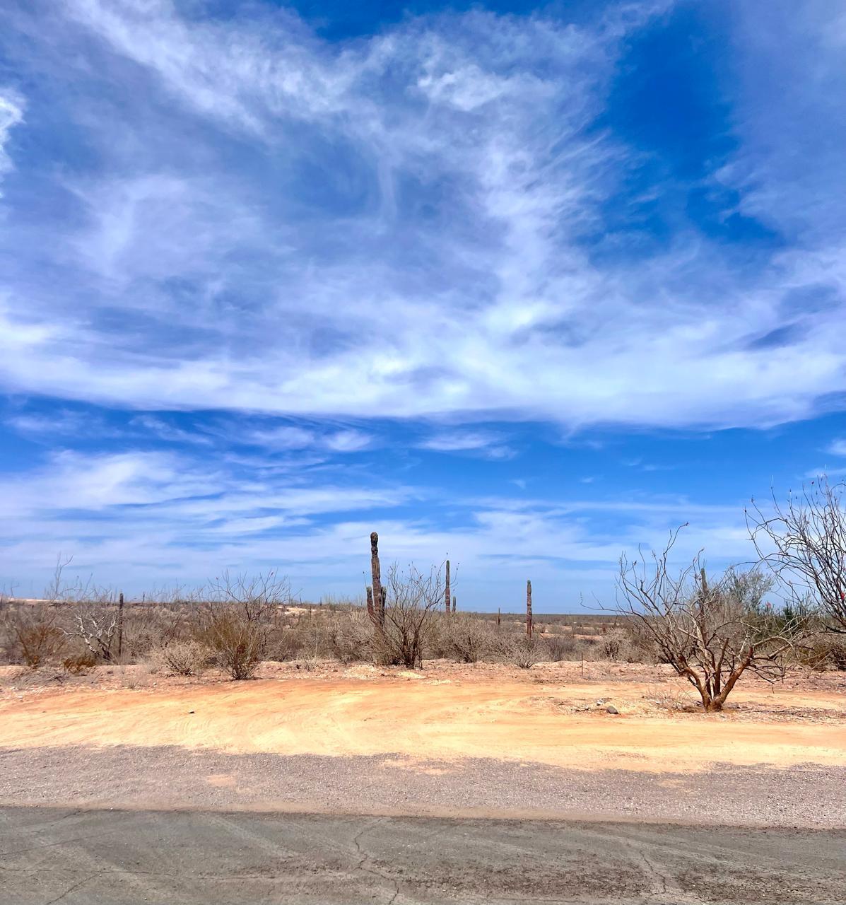 MLS #25-1541 image #10