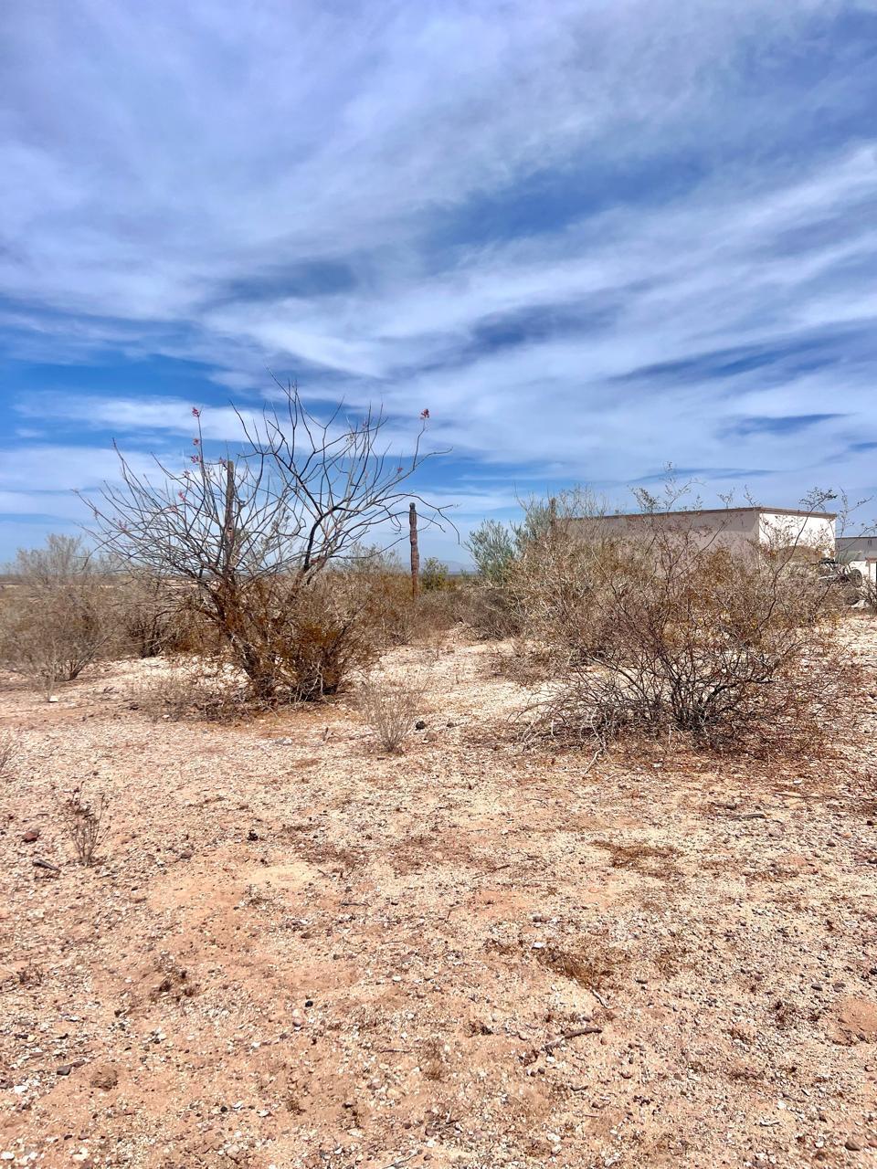 MLS #25-1541 image #11