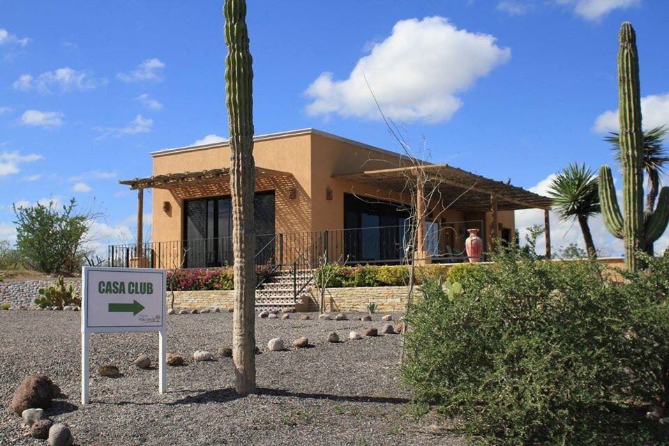 MLS #25-1541 image #12