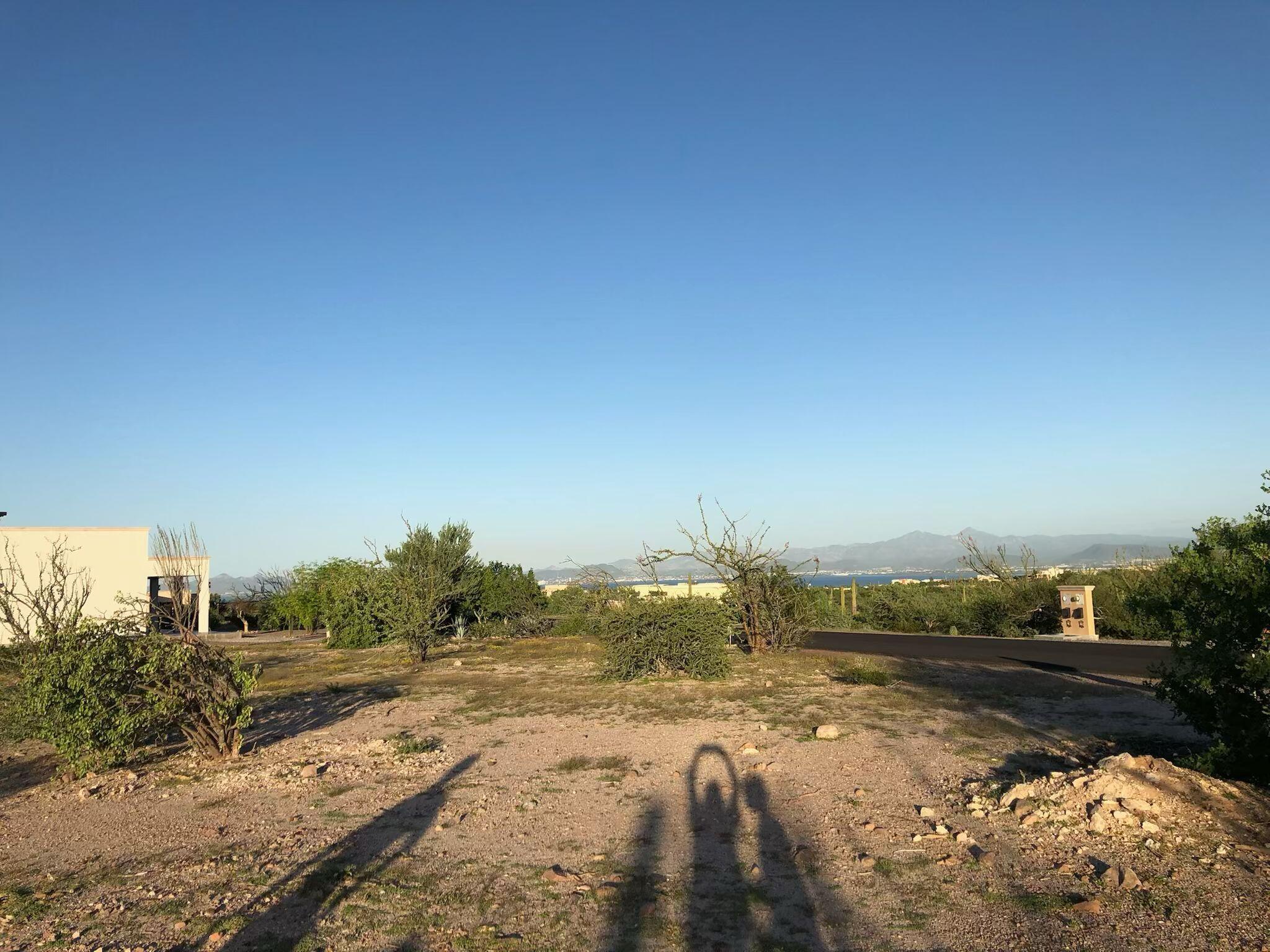 MLS #25-1541 img 1