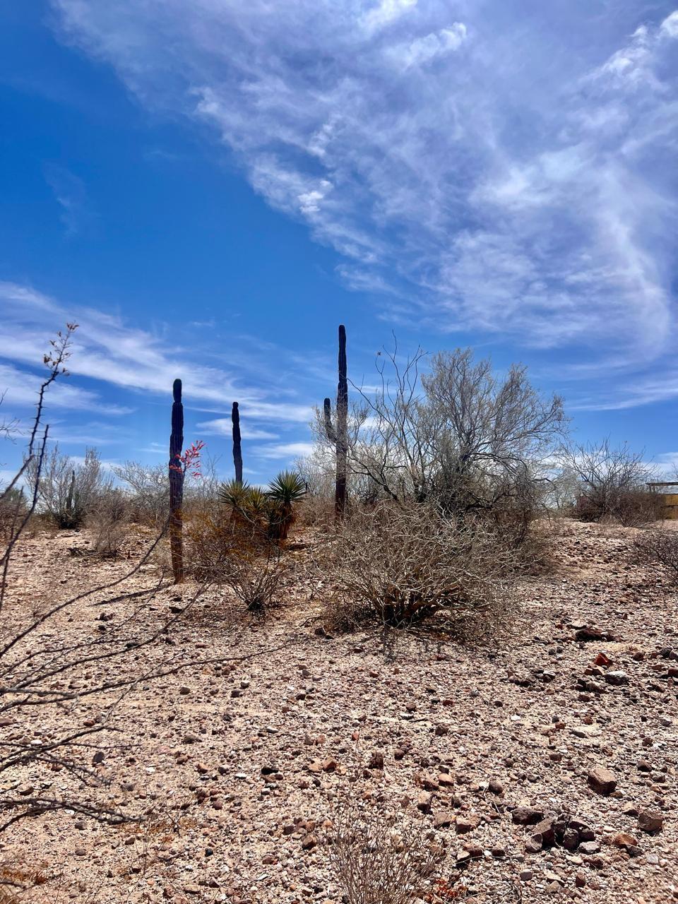 MLS #25-1541 image #8