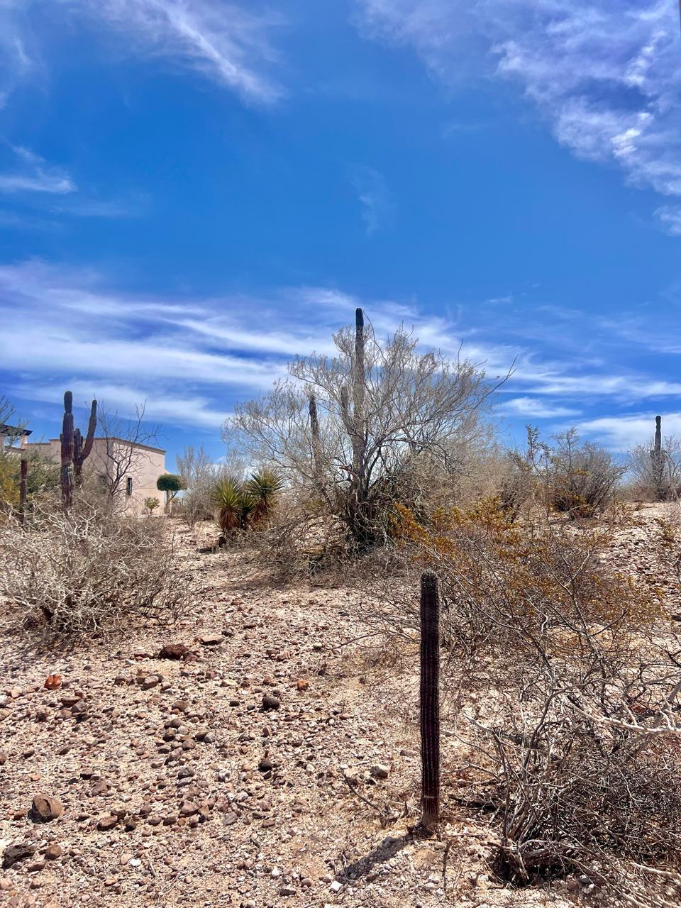 MLS #25-1541 image #9