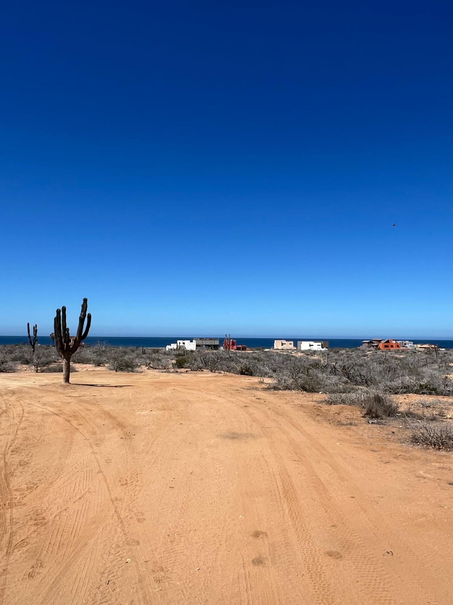 MLS #25-1543 image #12