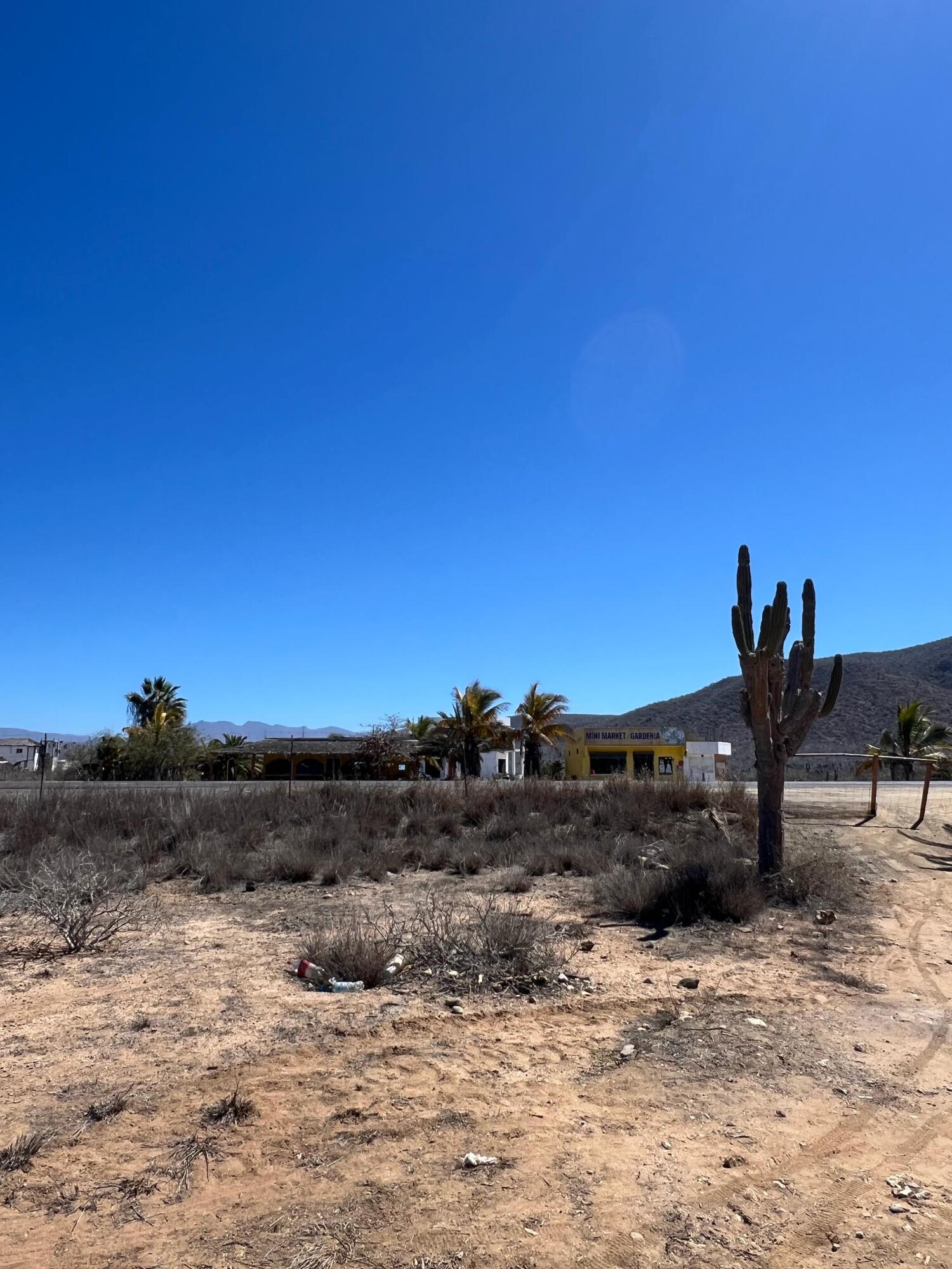 MLS #25-1543 image #13