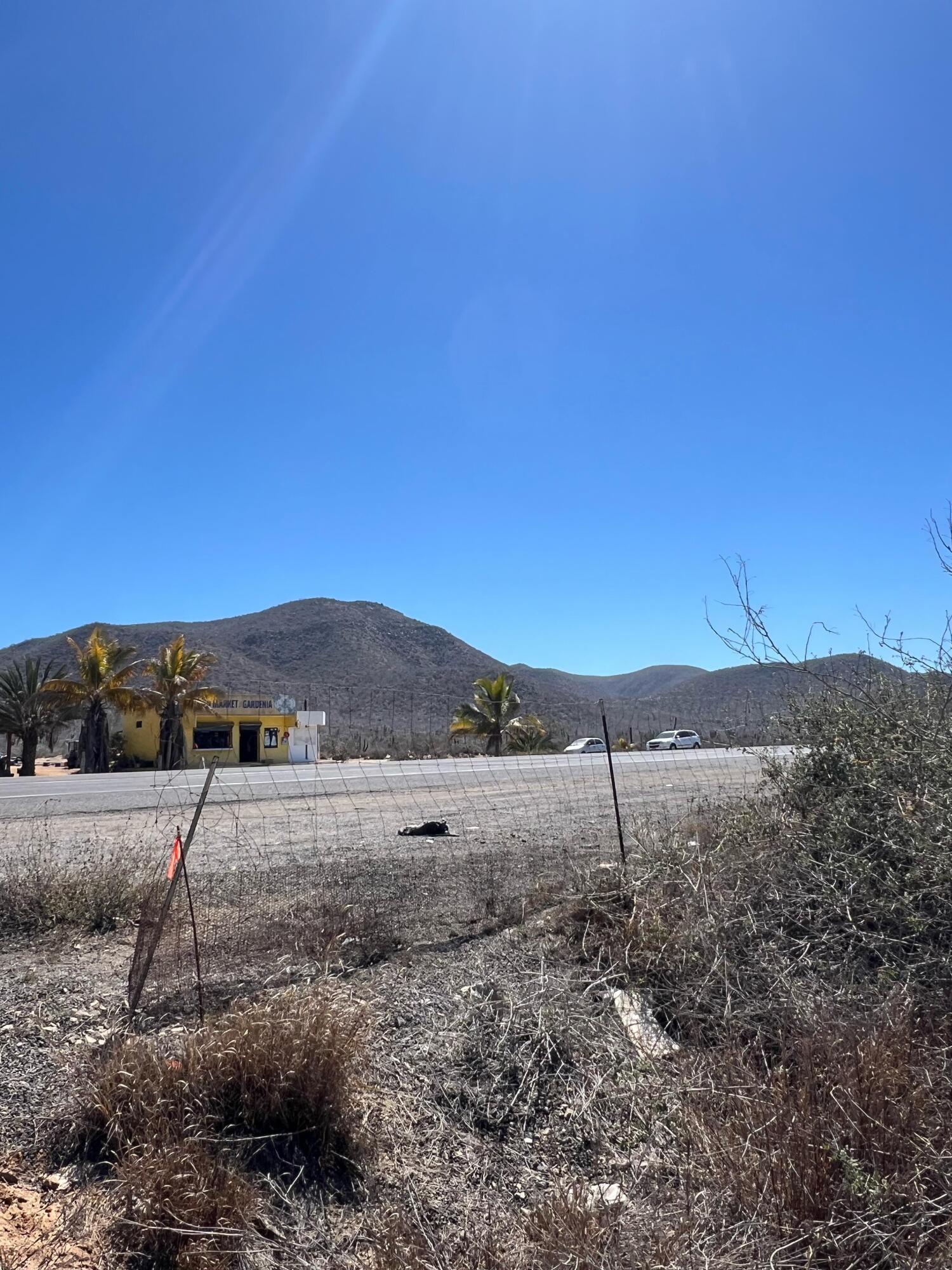 MLS #25-1543 image #16