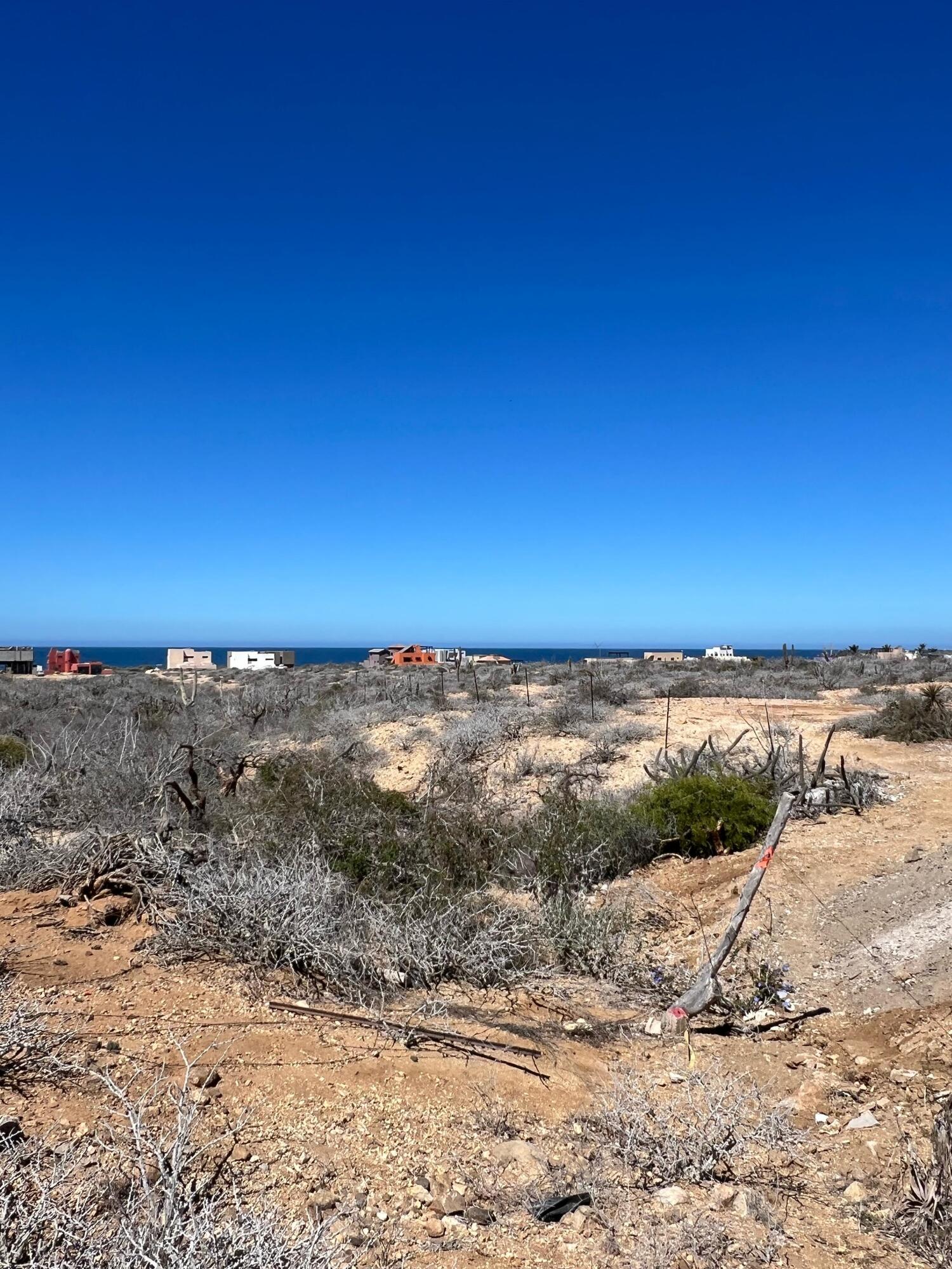 MLS #25-1543 image #17