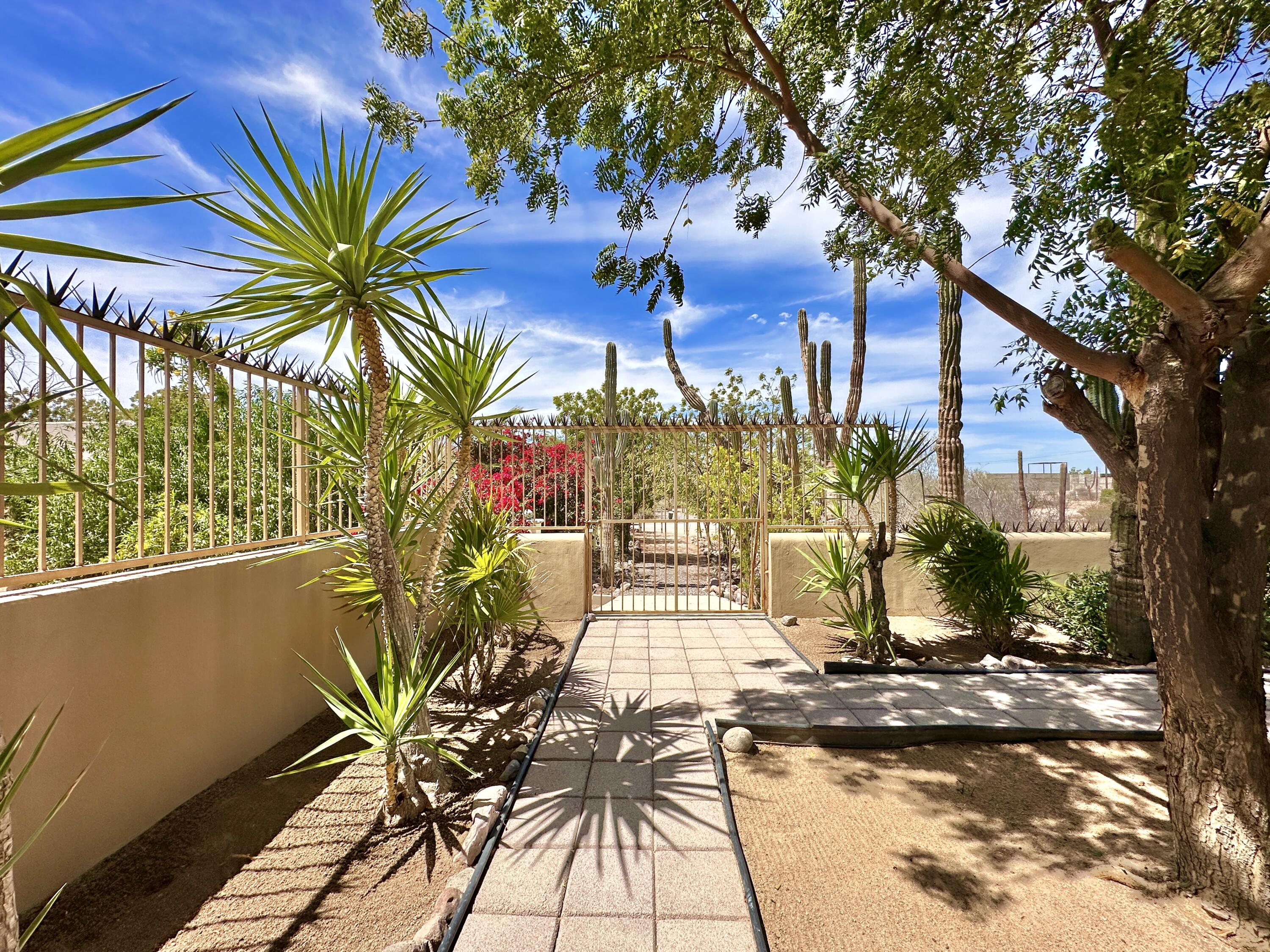 MLS #25-1566 image #13