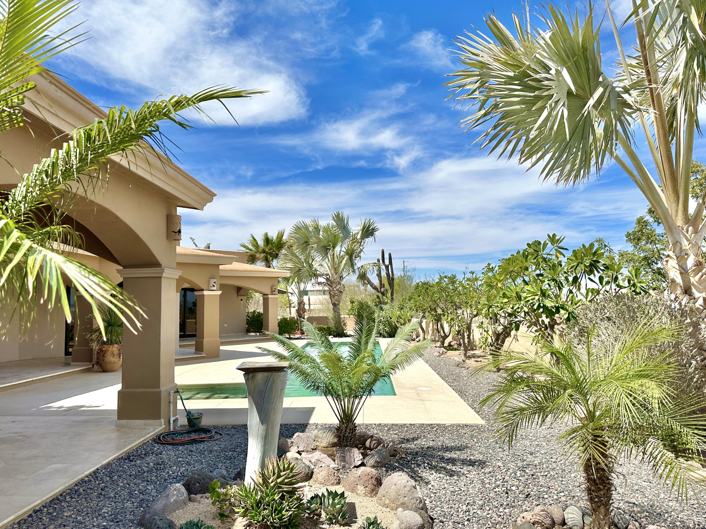 MLS #25-1566 image #5