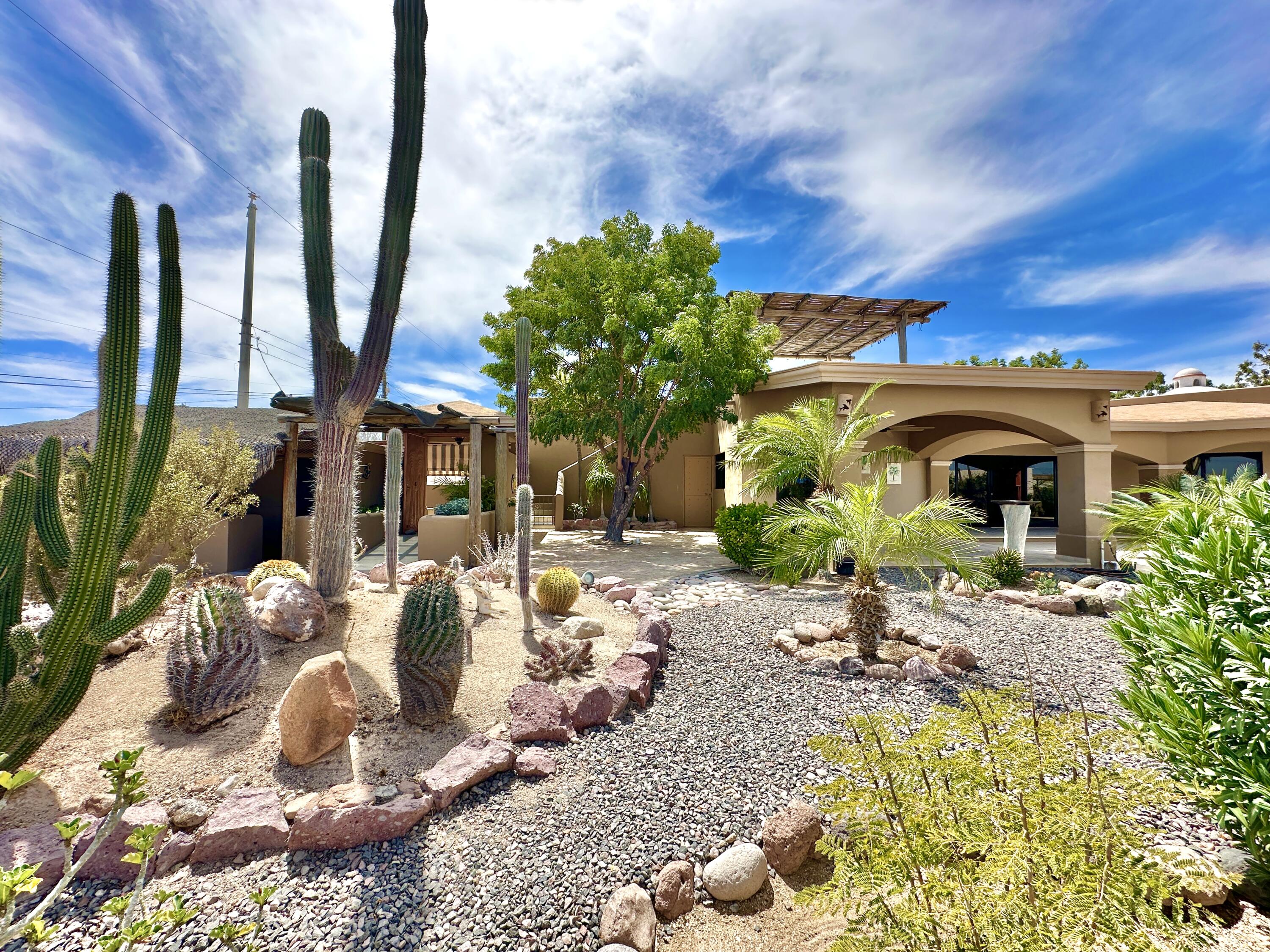 MLS #25-1566 image #9