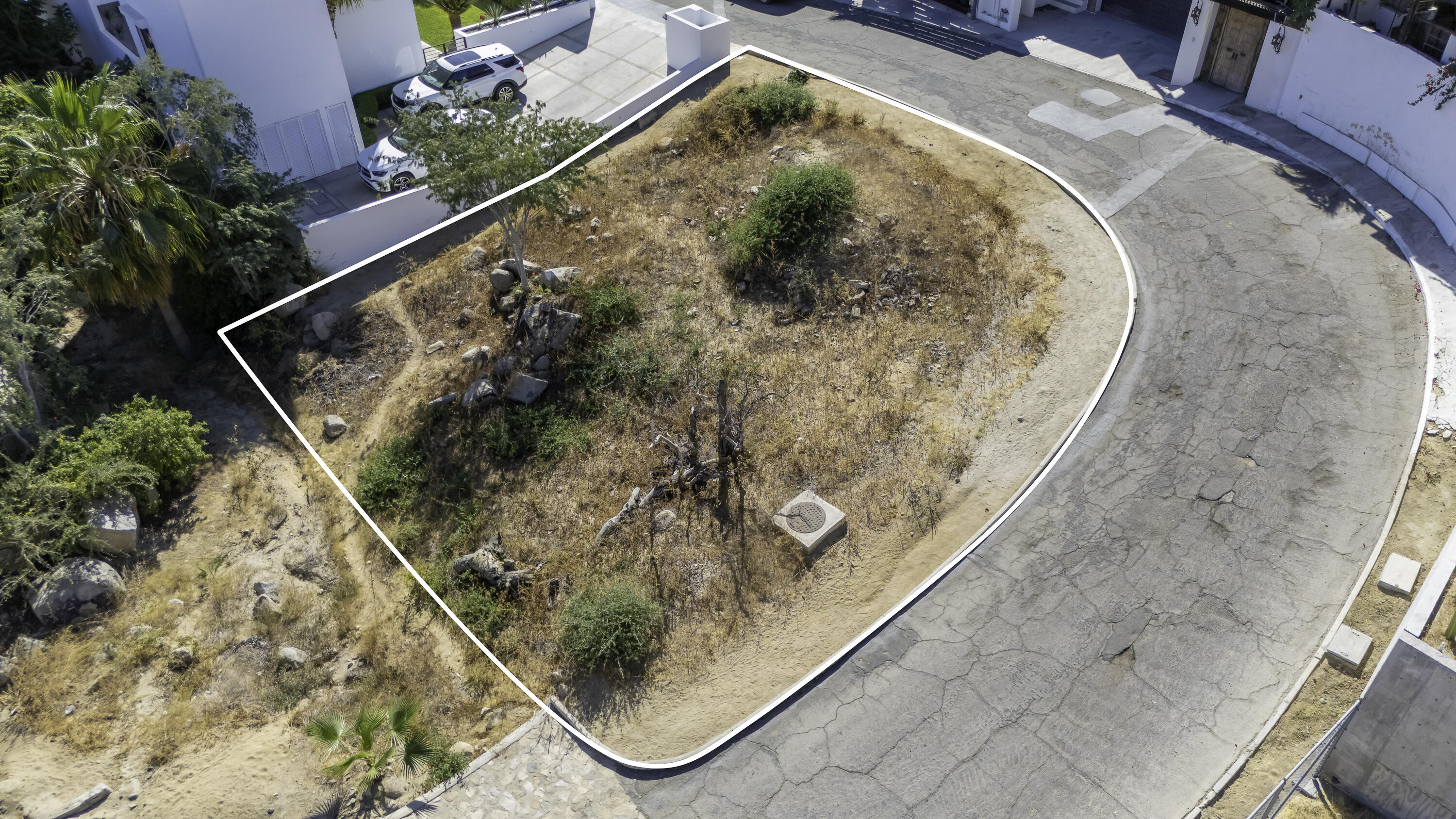 MLS #25-157 image #5