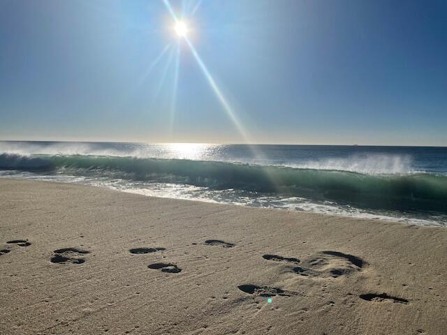 MLS #25-1587 image #37