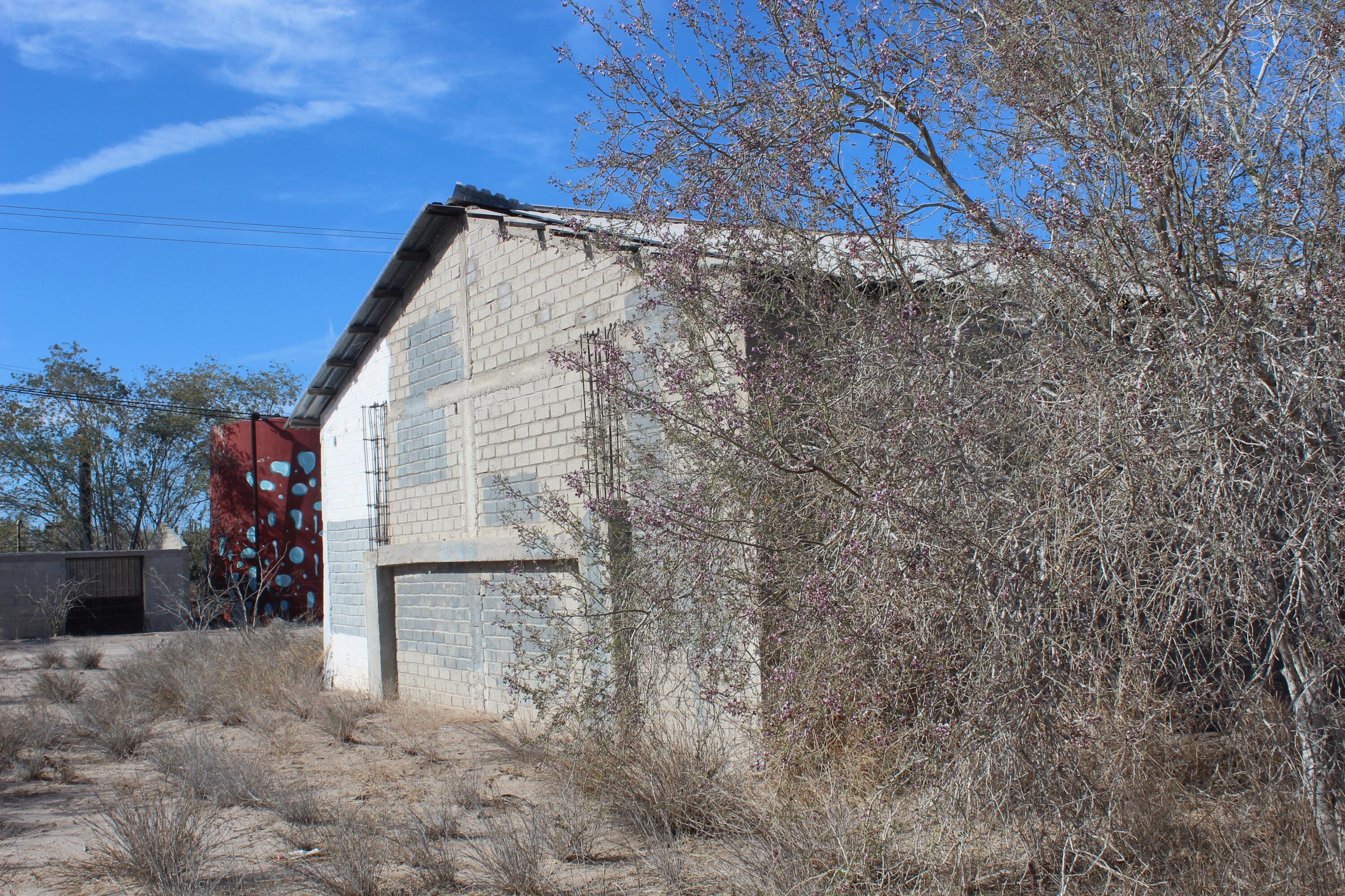 MLS #25-1590 image #8