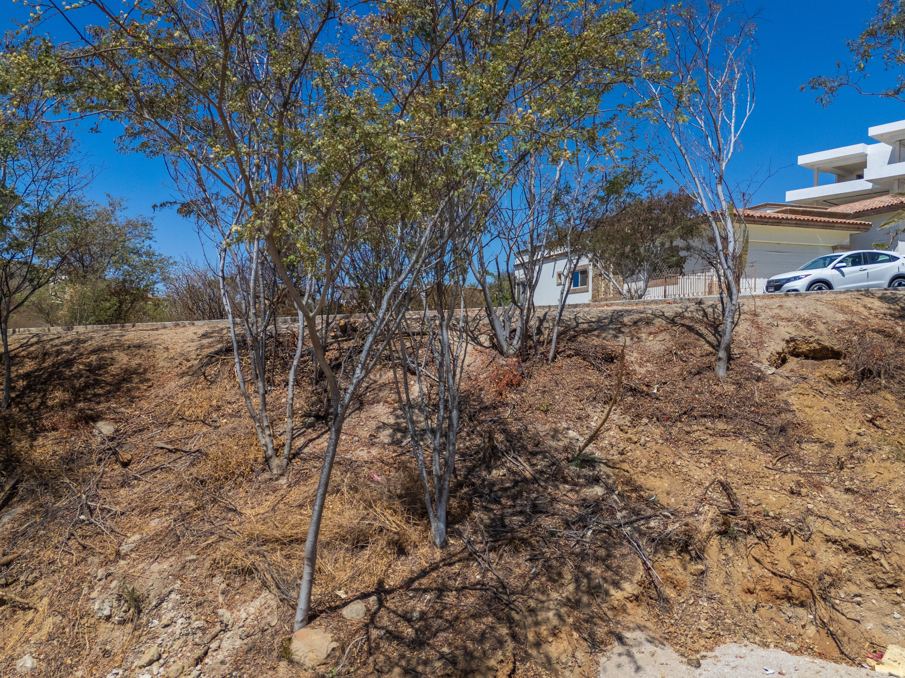 MLS #25-1622 image #39