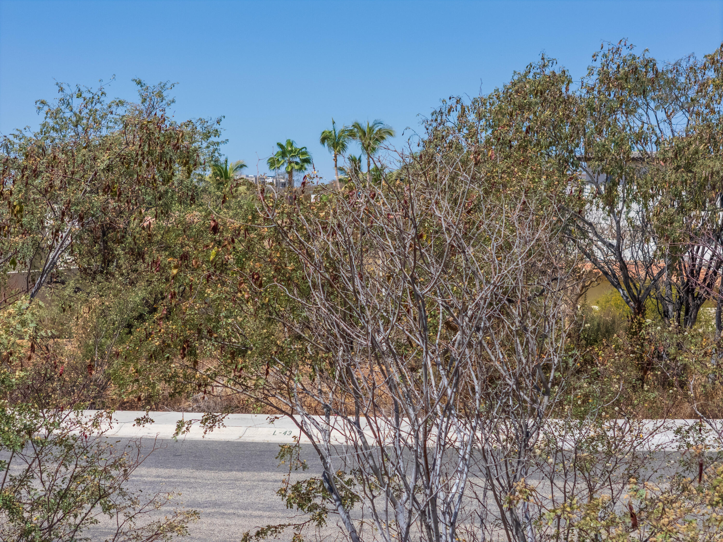 MLS #25-1622 image #45