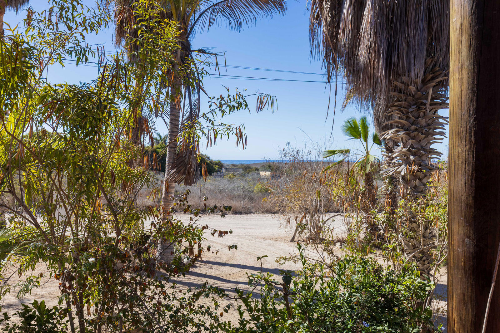 MLS #25-1640 image #12