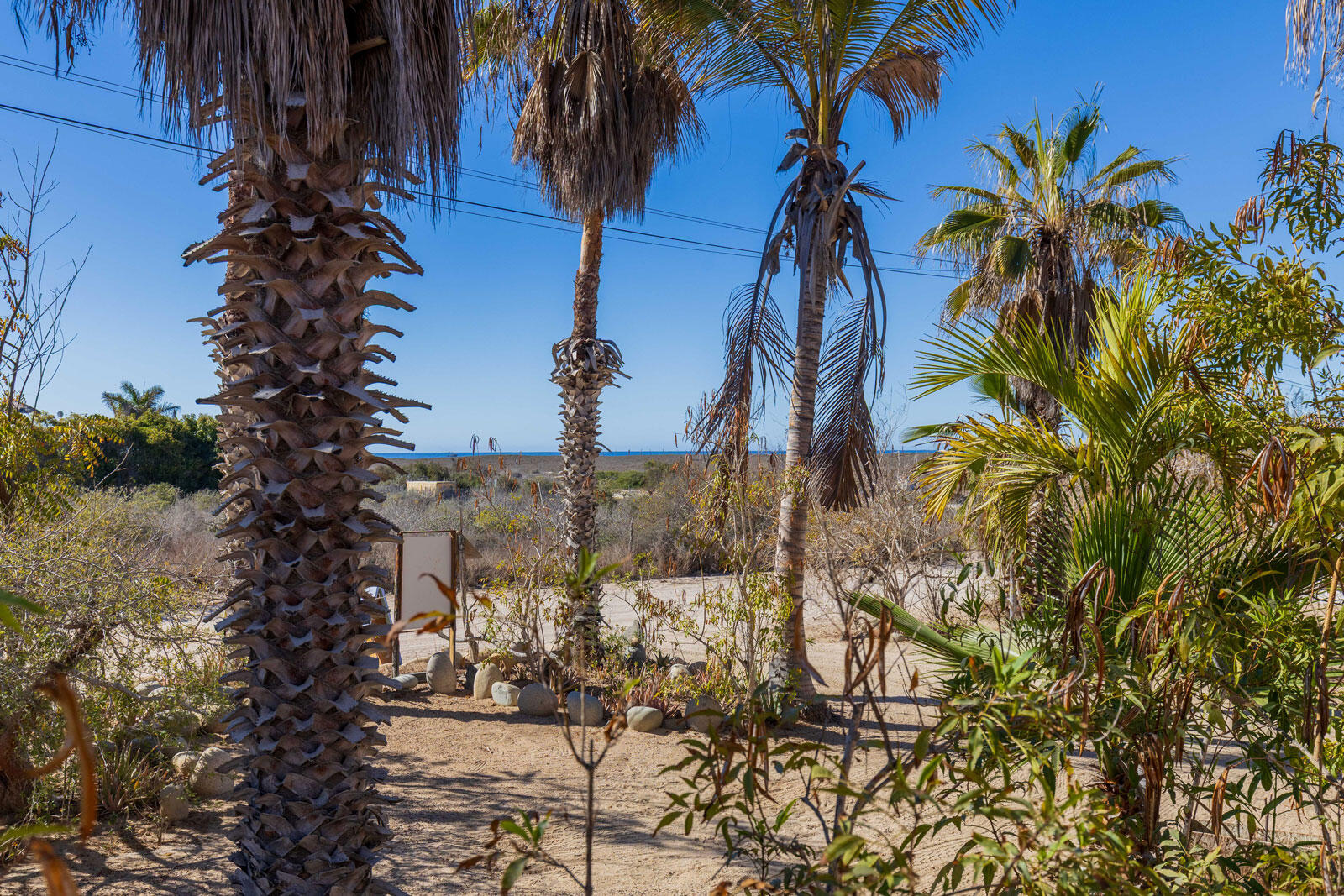 MLS #25-1640 image #13