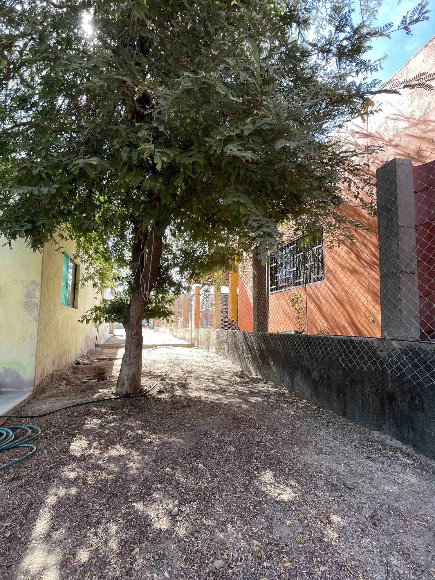 MLS #25-1657 img 3