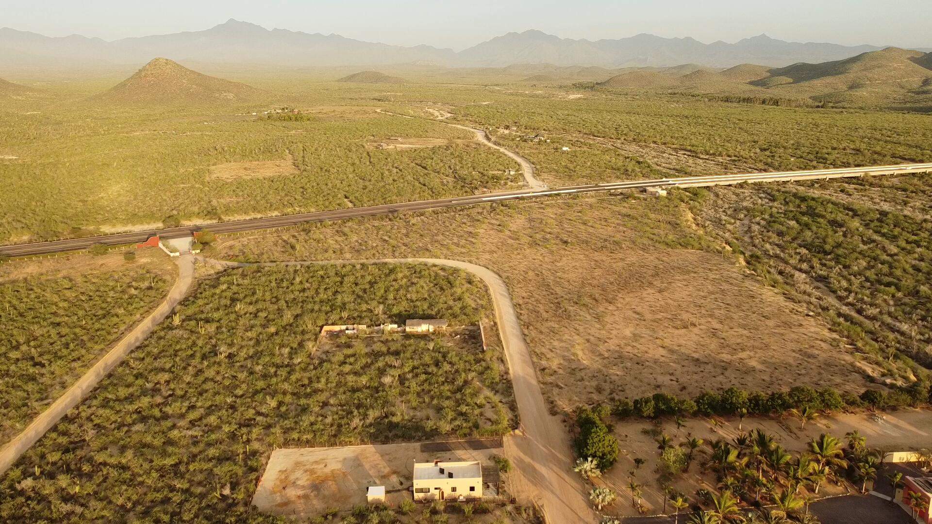 MLS #25-167 image #8