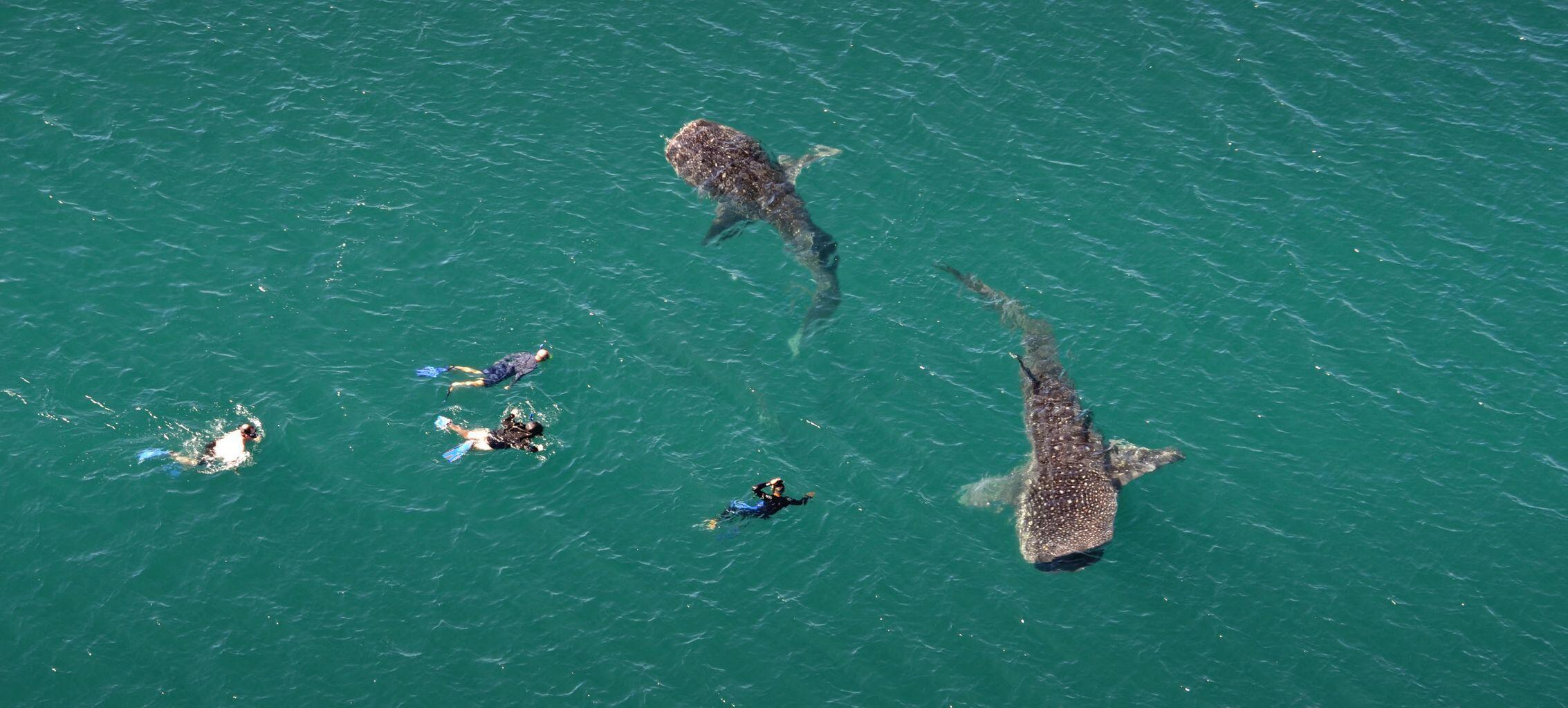 MLS #25-1670 image #57