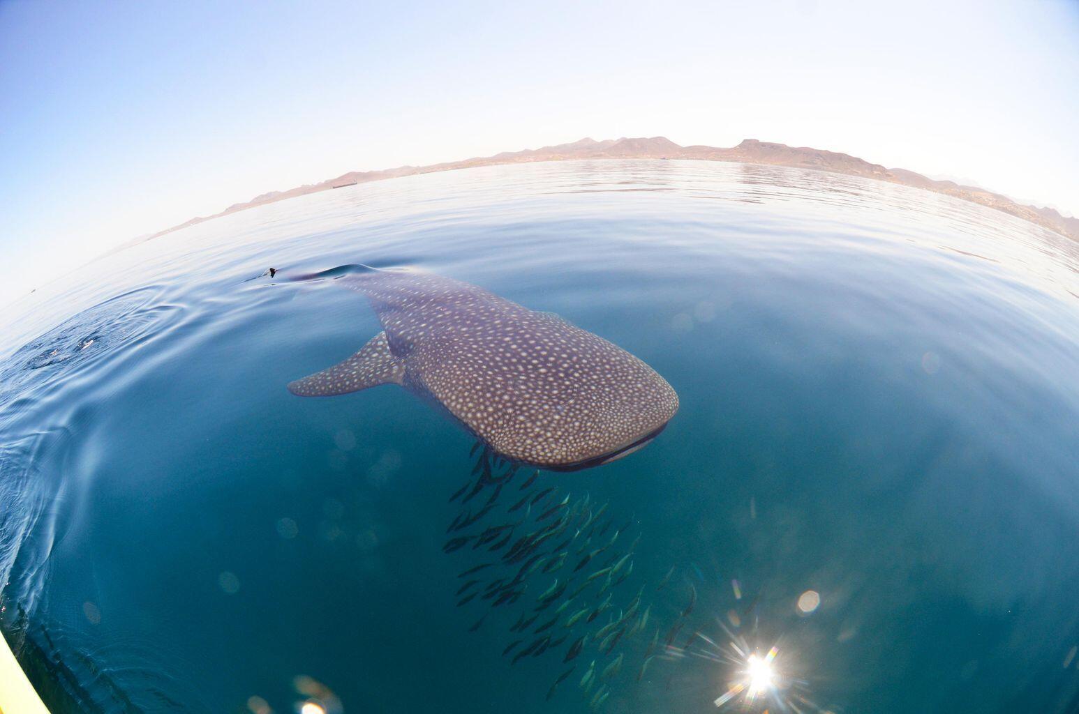 MLS #25-1670 image #59