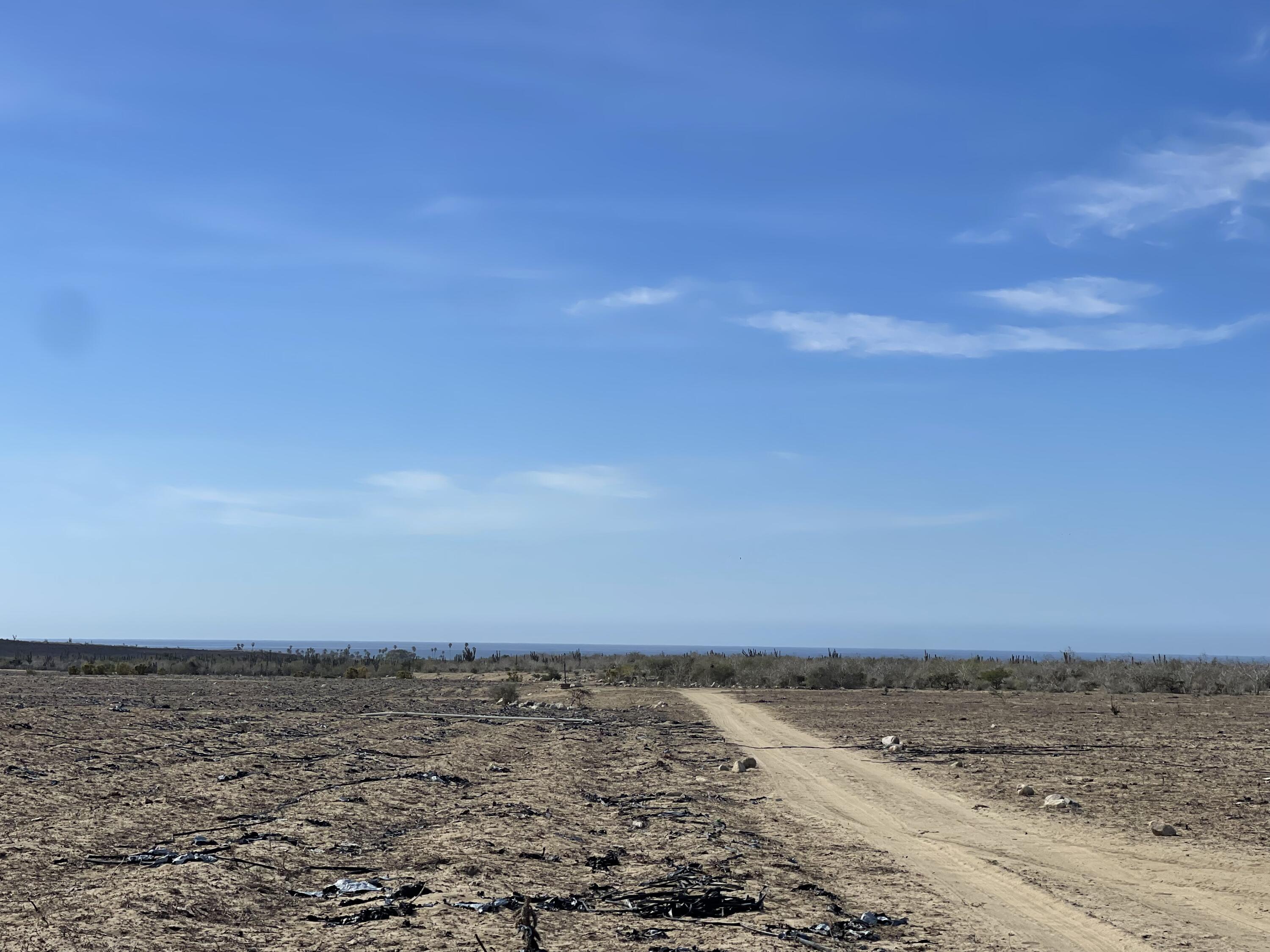 MLS #25-173 image #11