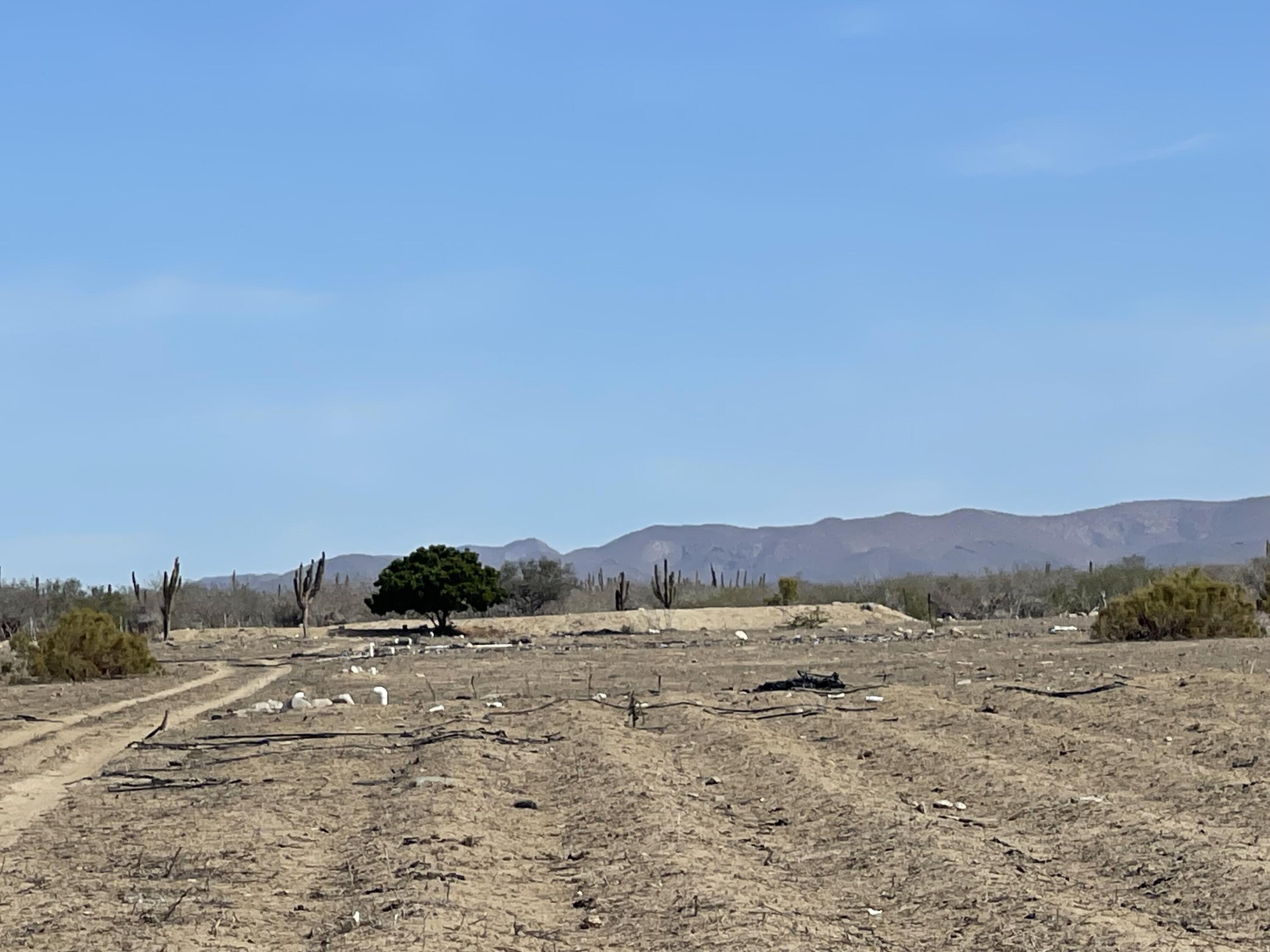 MLS #25-173 image #14