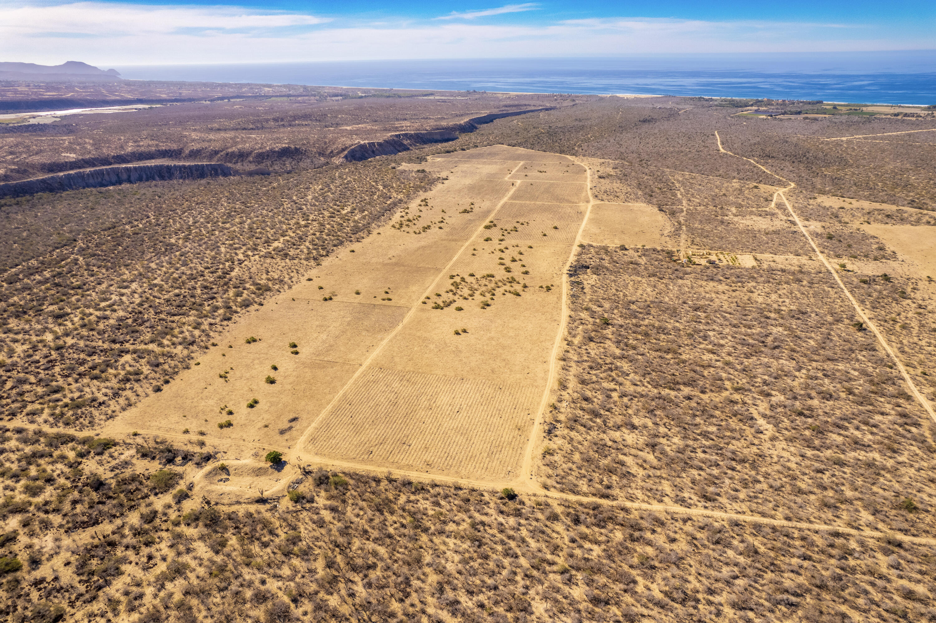 MLS #25-173 image #15