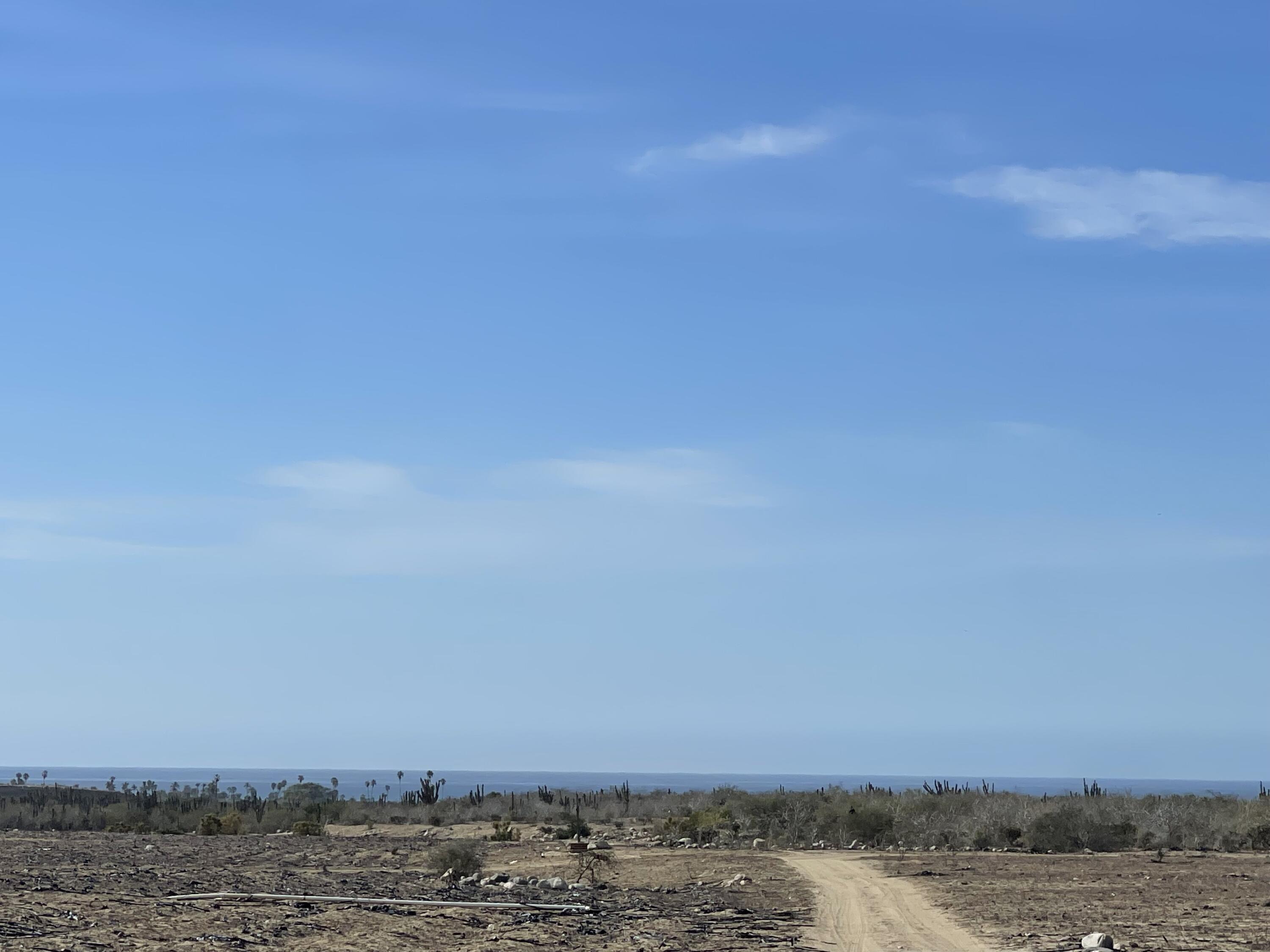 MLS #25-173 image #16