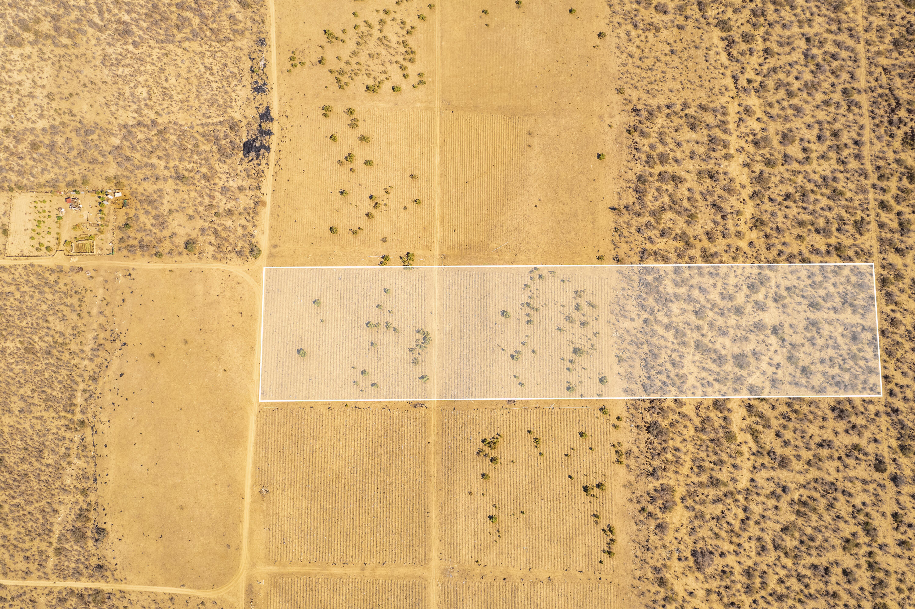 MLS #25-173 image #17