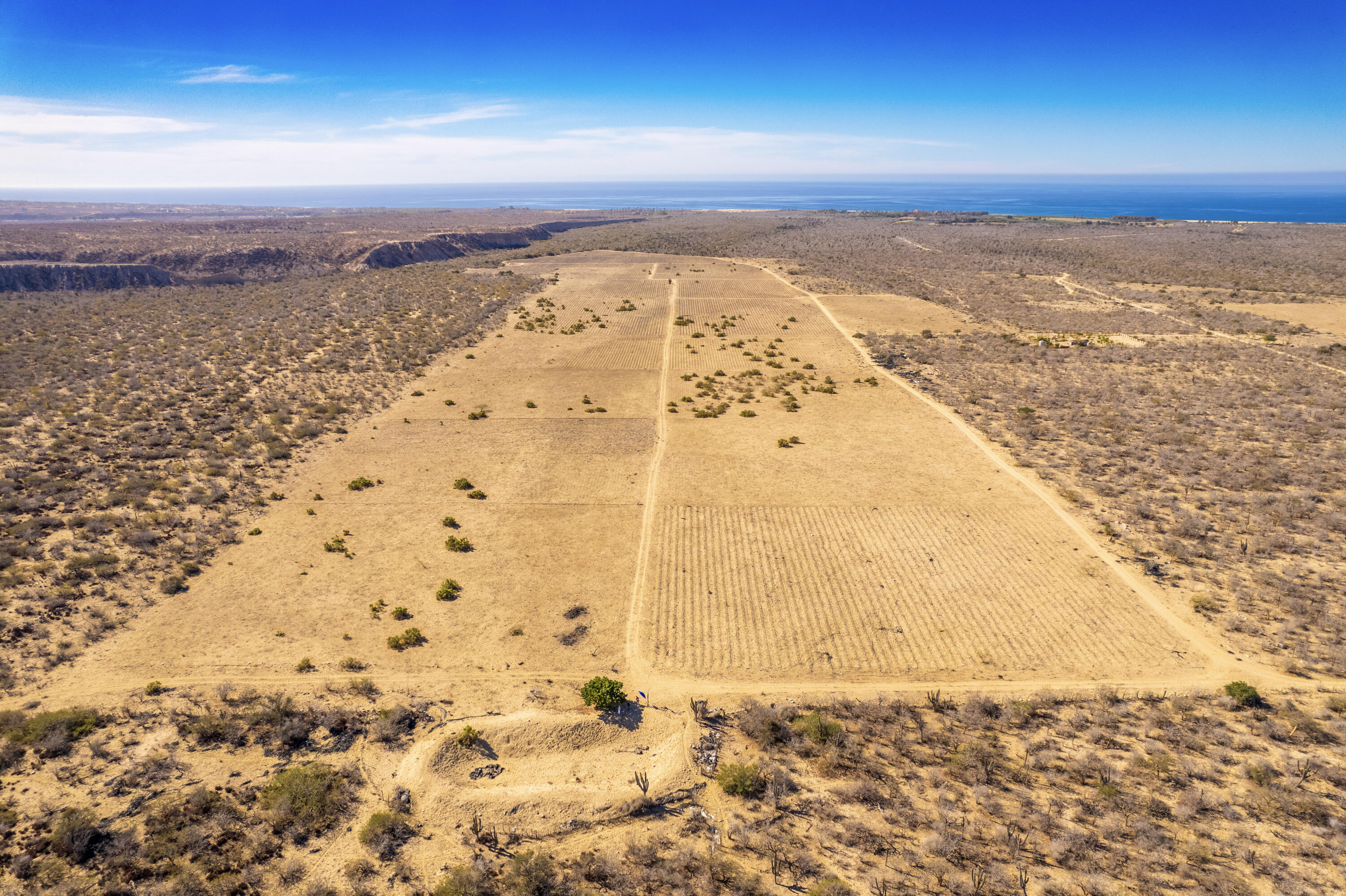 MLS #25-173 image #18