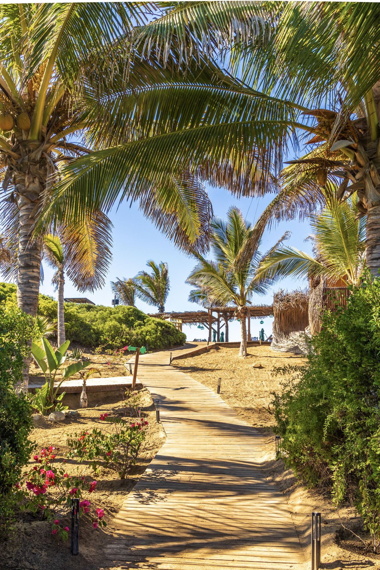 MLS #25-173 image #19