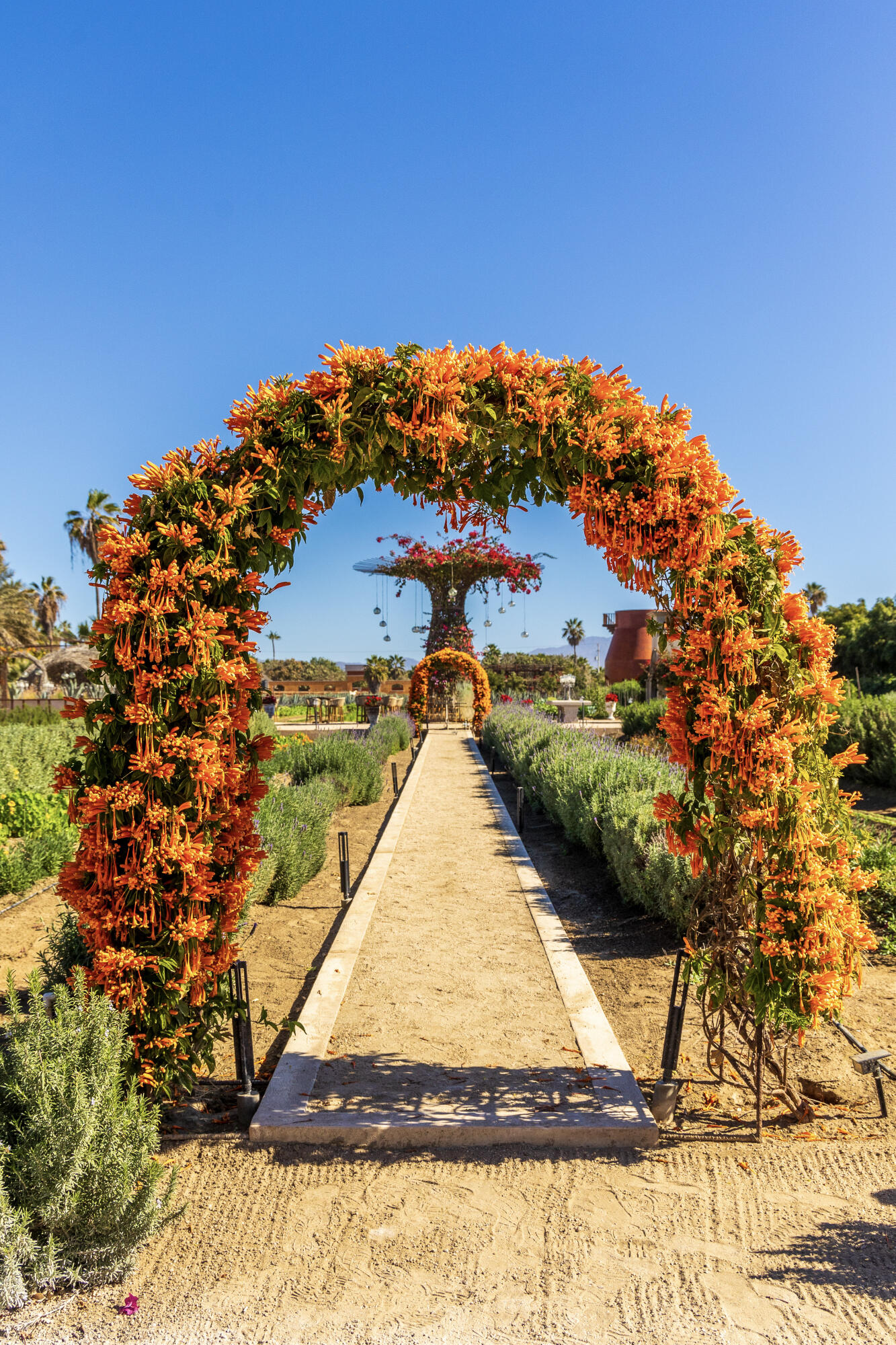 MLS #25-173 image #28